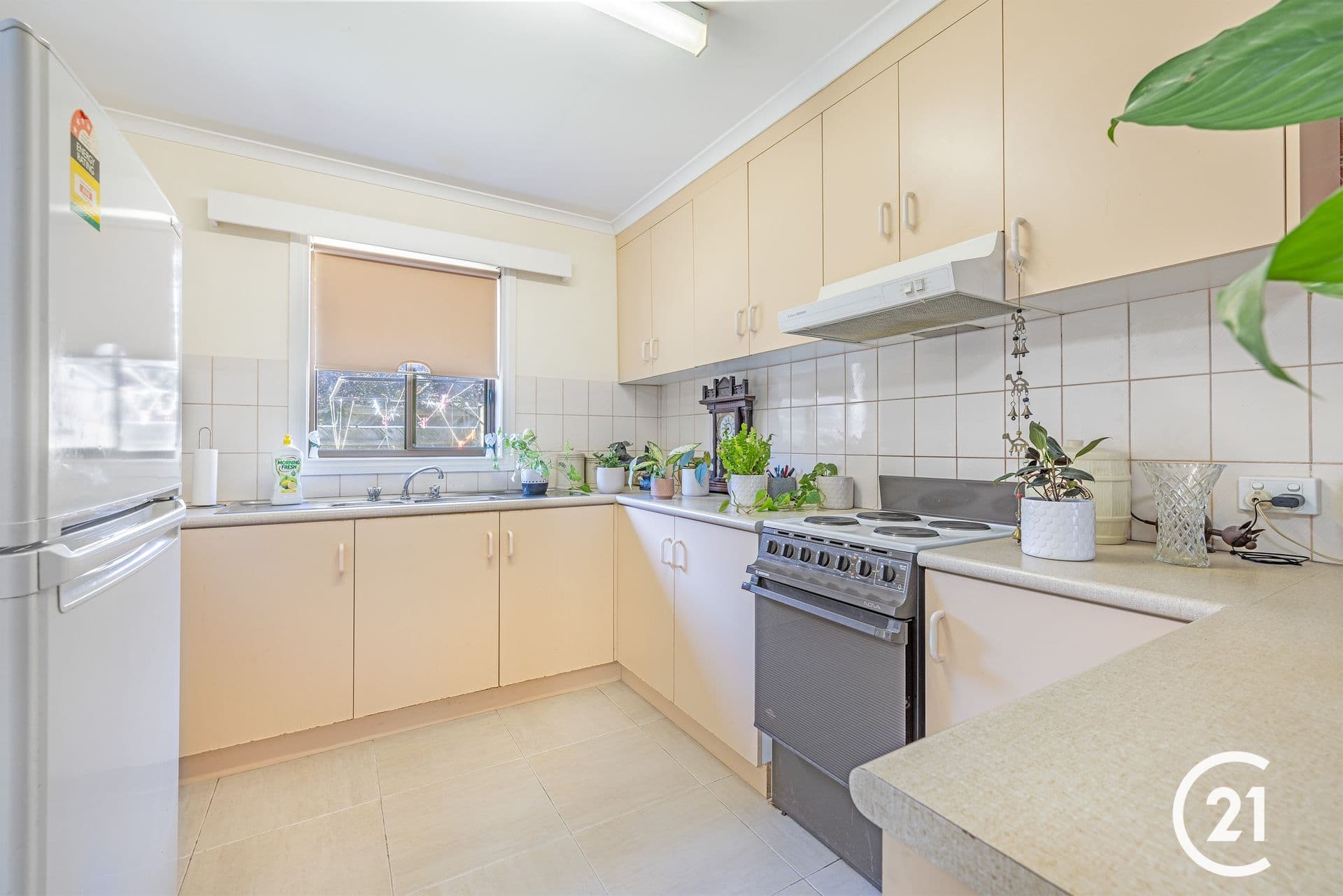5/40 Regent Street, Moama, NSW, 2731, Moama - Thumbnail 3