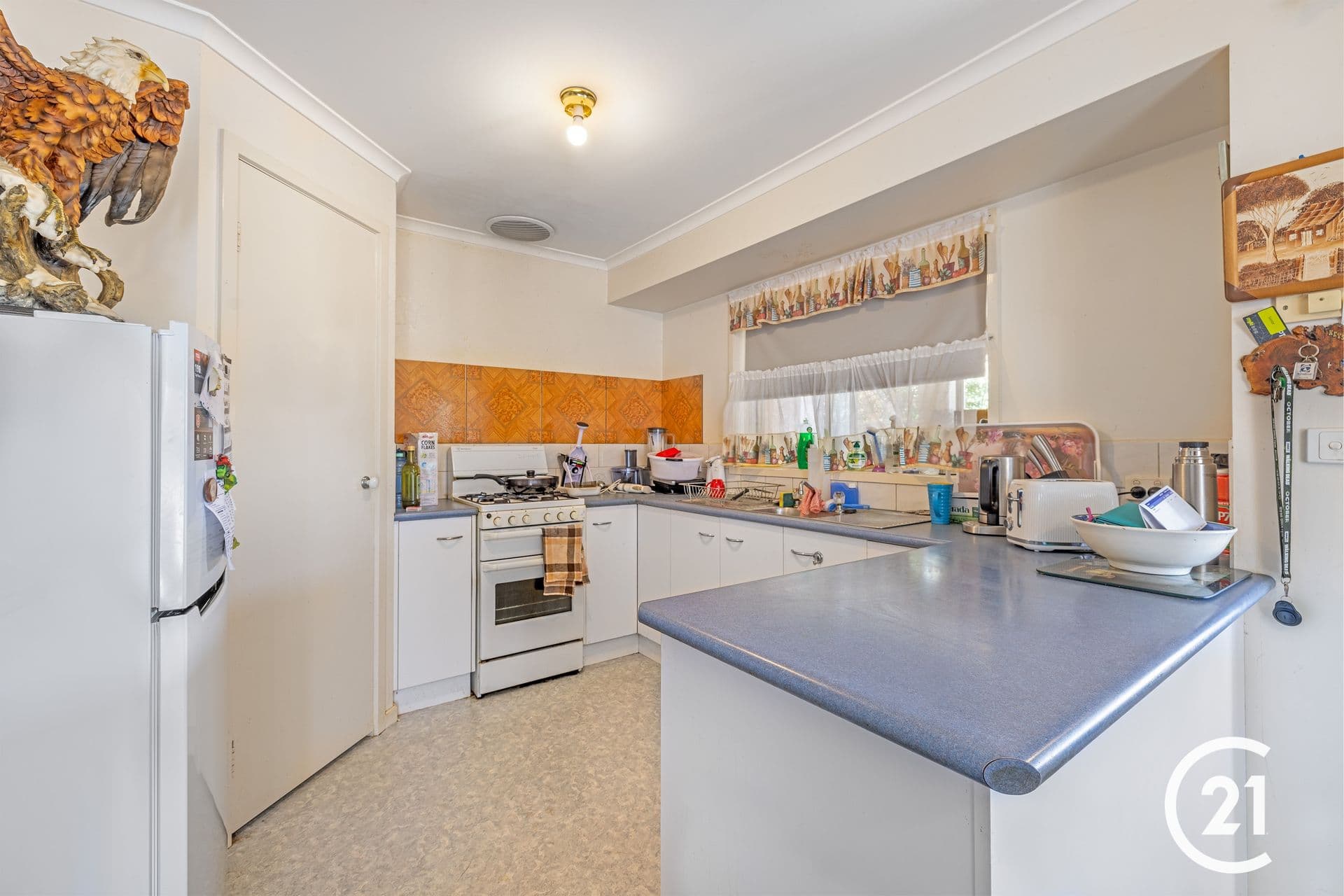 8 Alfred Avenue, Echuca, VIC, 3564, Echuca - Thumbnail 2