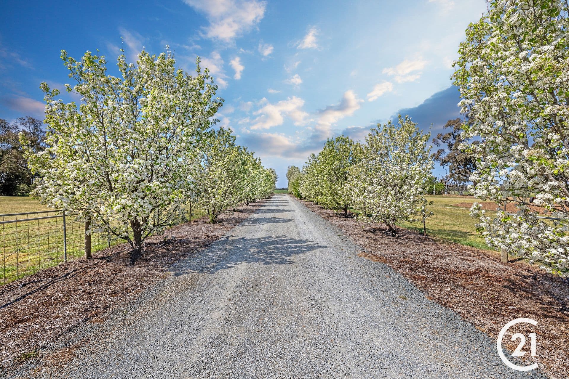 932 Muller Road, Echuca West, VIC, 3564, Echuca West - Thumbnail 2