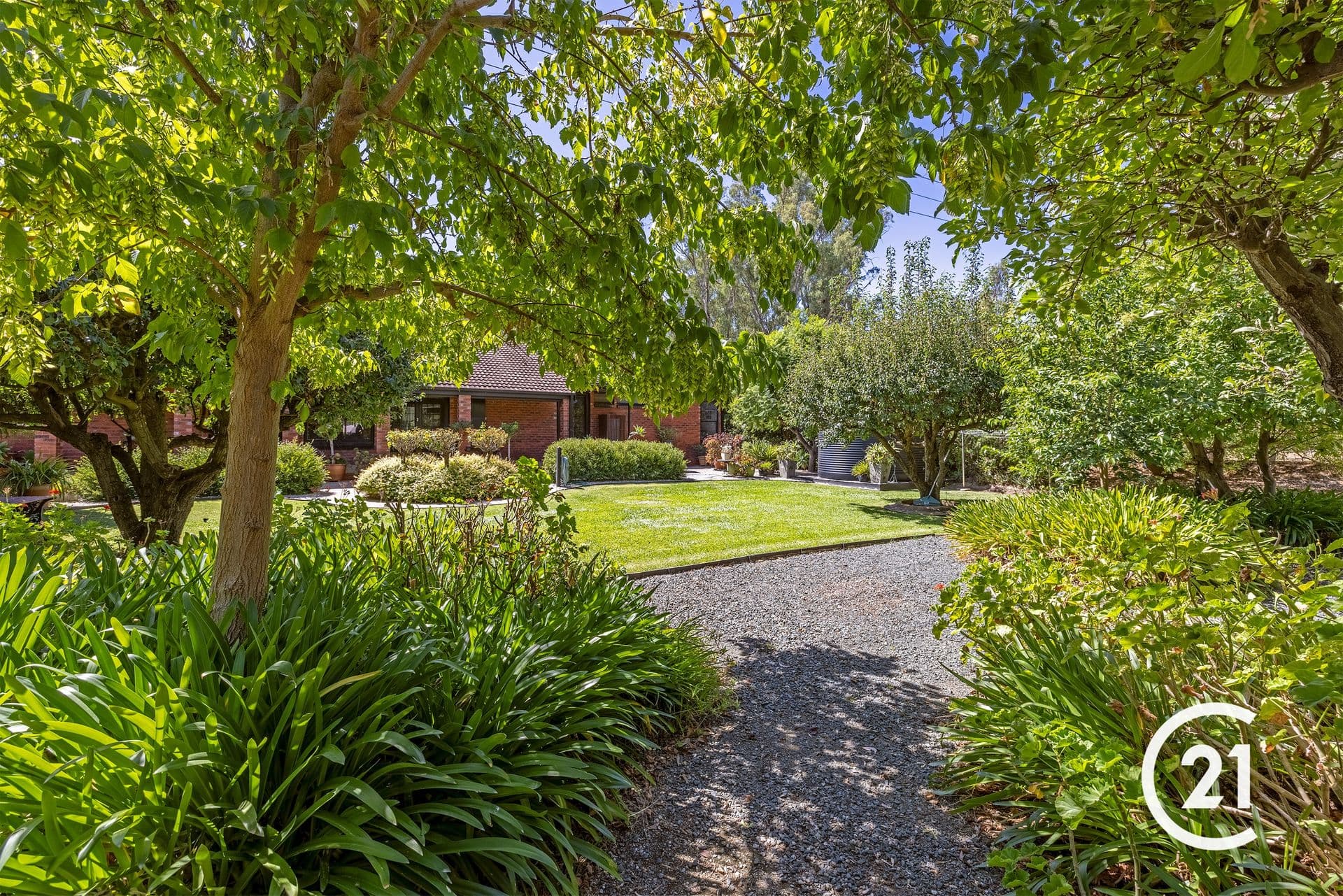 19 Glyn Road, Echuca, VIC, 3564, Wharparilla - Thumbnail 5