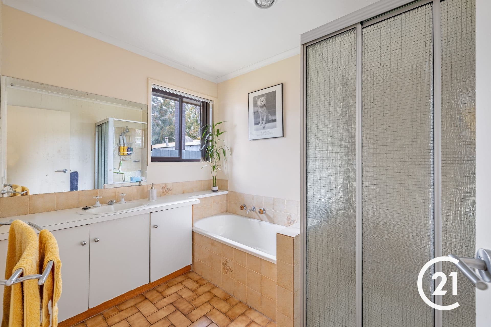 1 McIntosh Street, Echuca, VIC, 3564, Echuca - Thumbnail 7