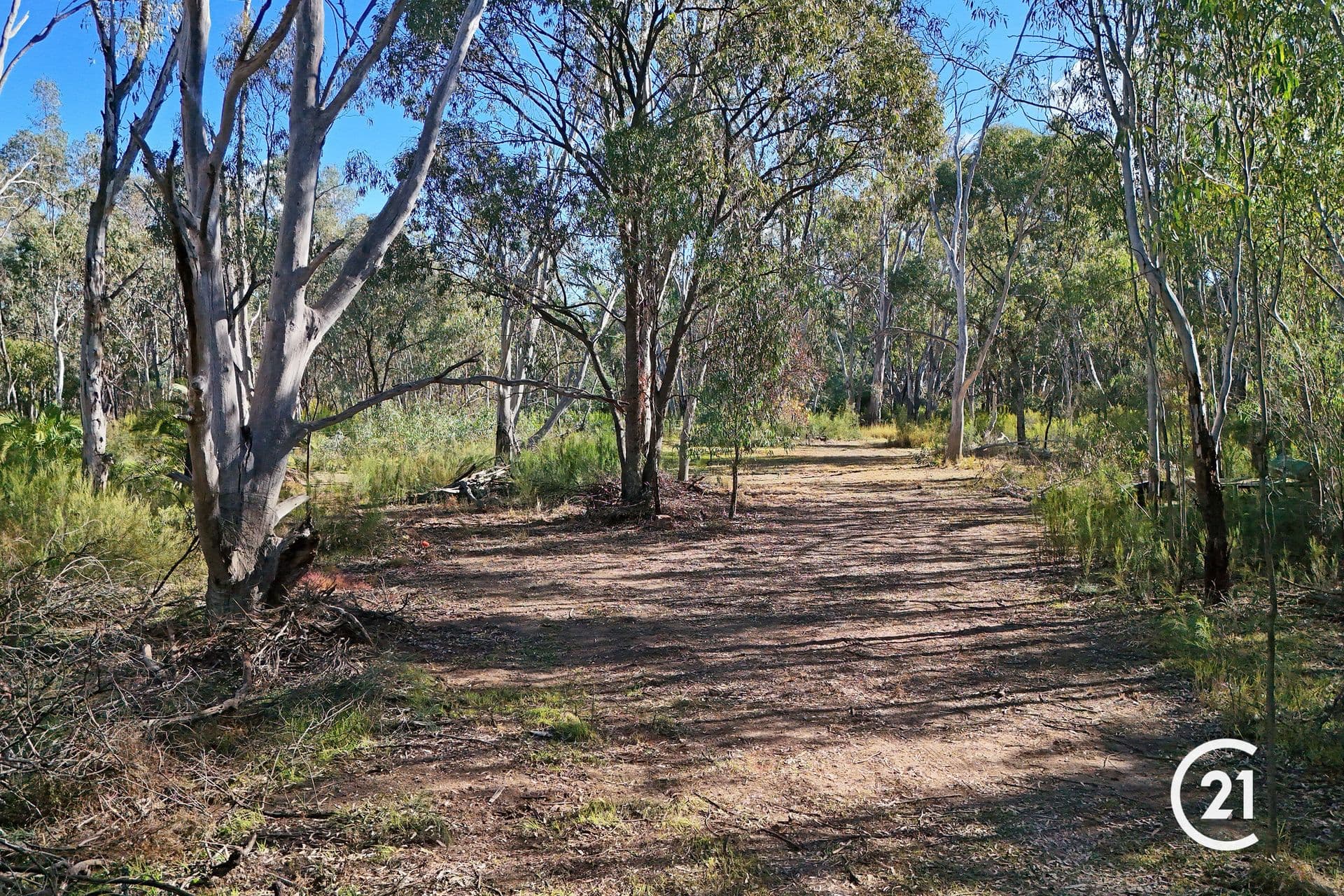 105 Murray Bank Drive, Echuca, VIC, 3564, Echuca - Thumbnail 5