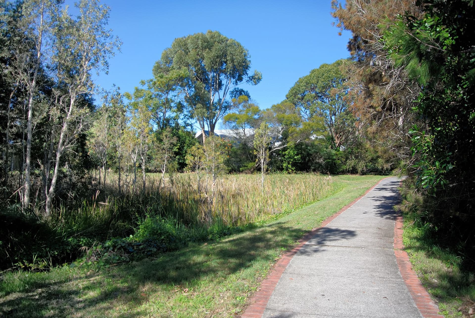 2 Admiralty Ave, Tea Gardens, NSW, 2324, Tea Gardens - Thumbnail 6