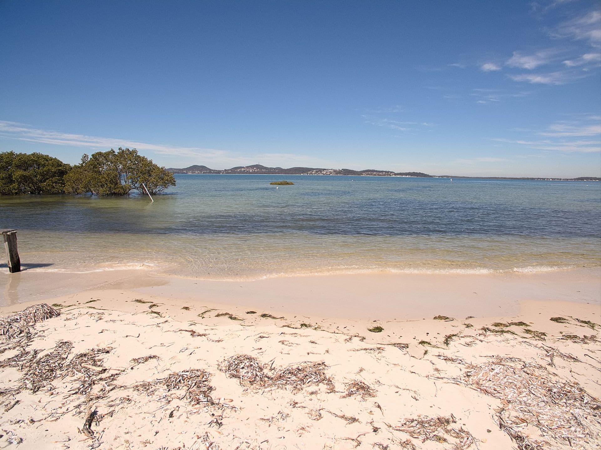 35 Curlew St, Pindimar, NSW, 2324, Pindimar - Thumbnail 5