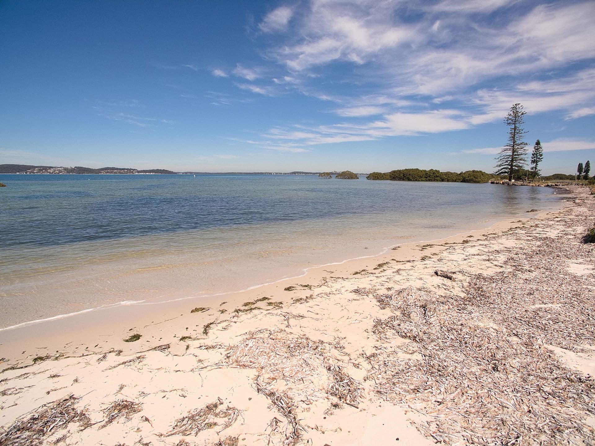 35 Curlew St, Pindimar, NSW, 2324, Pindimar - Thumbnail 4