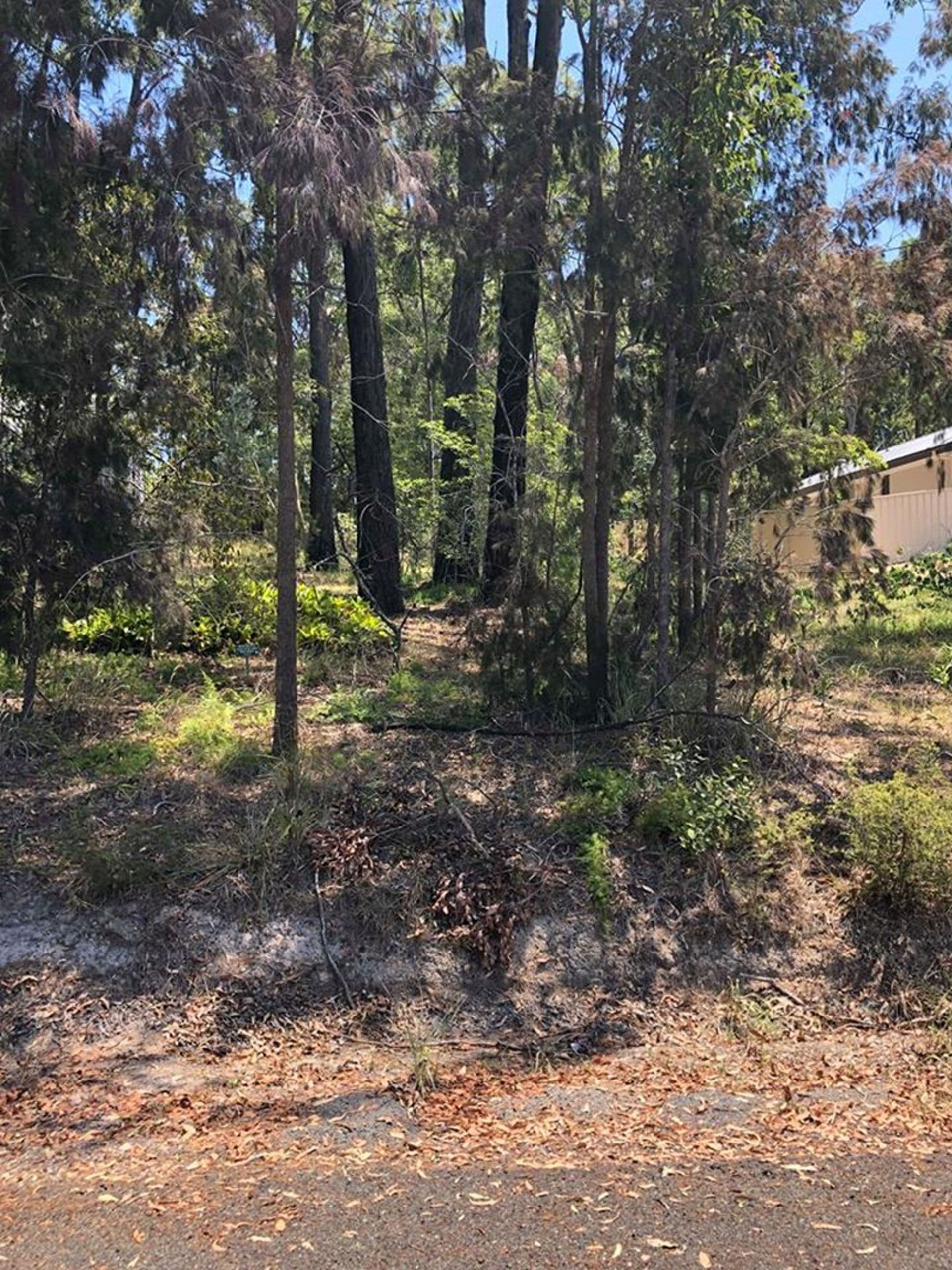 109 Eastslope Way, North Arm Cove, NSW, 2324, North Arm Cove - Thumbnail 3