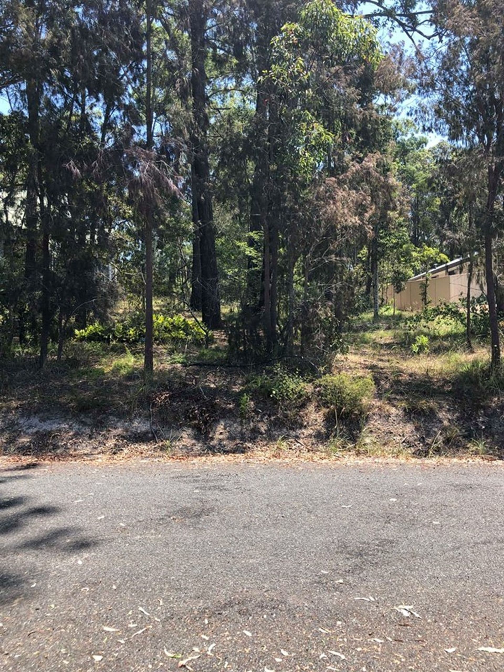 109 Eastslope Way, North Arm Cove, NSW, 2324, North Arm Cove - Image 1