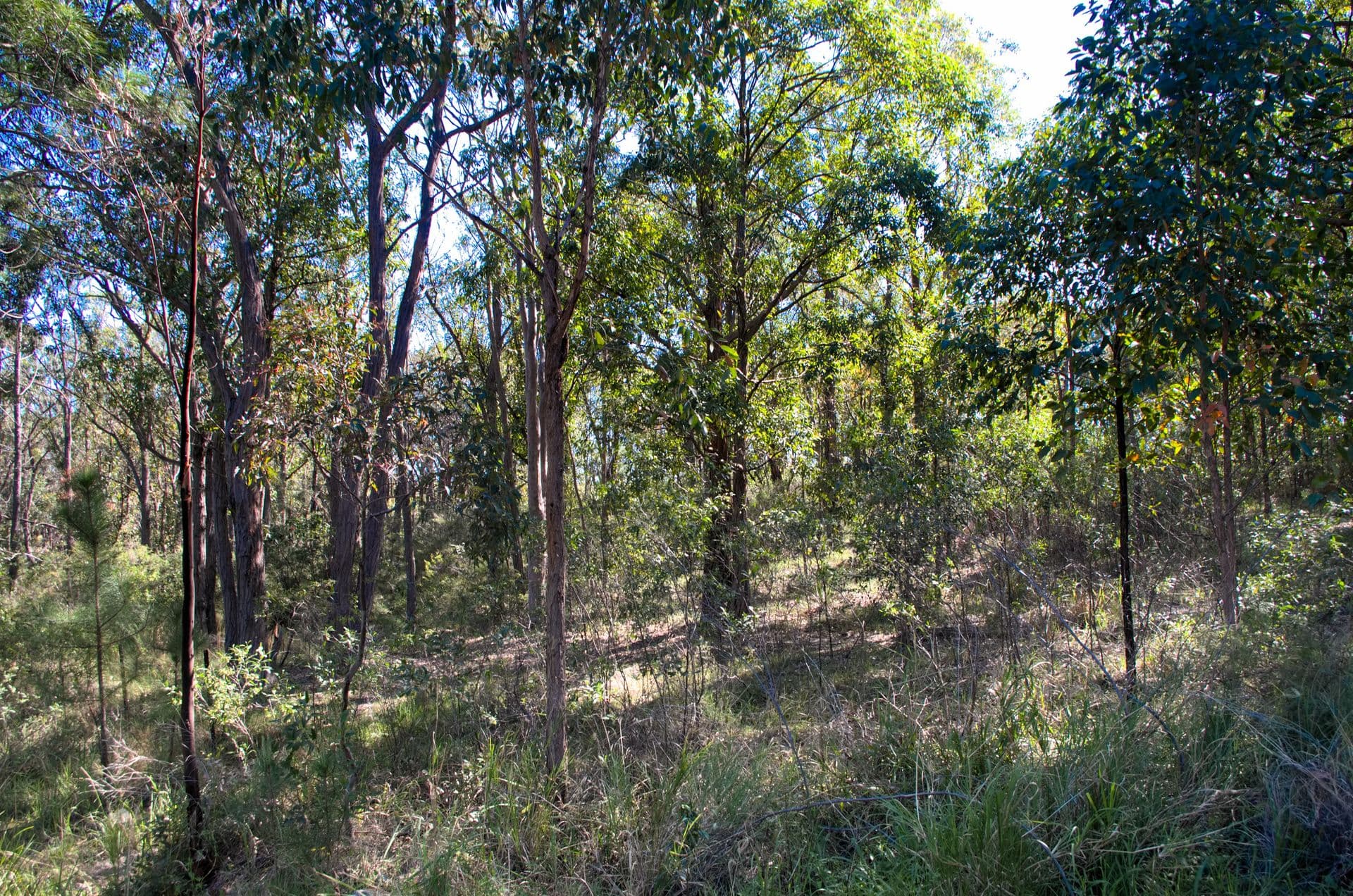 1/71 Marine Drive, Tea Gardens, NSW, 2324, Tea Gardens - Thumbnail 3