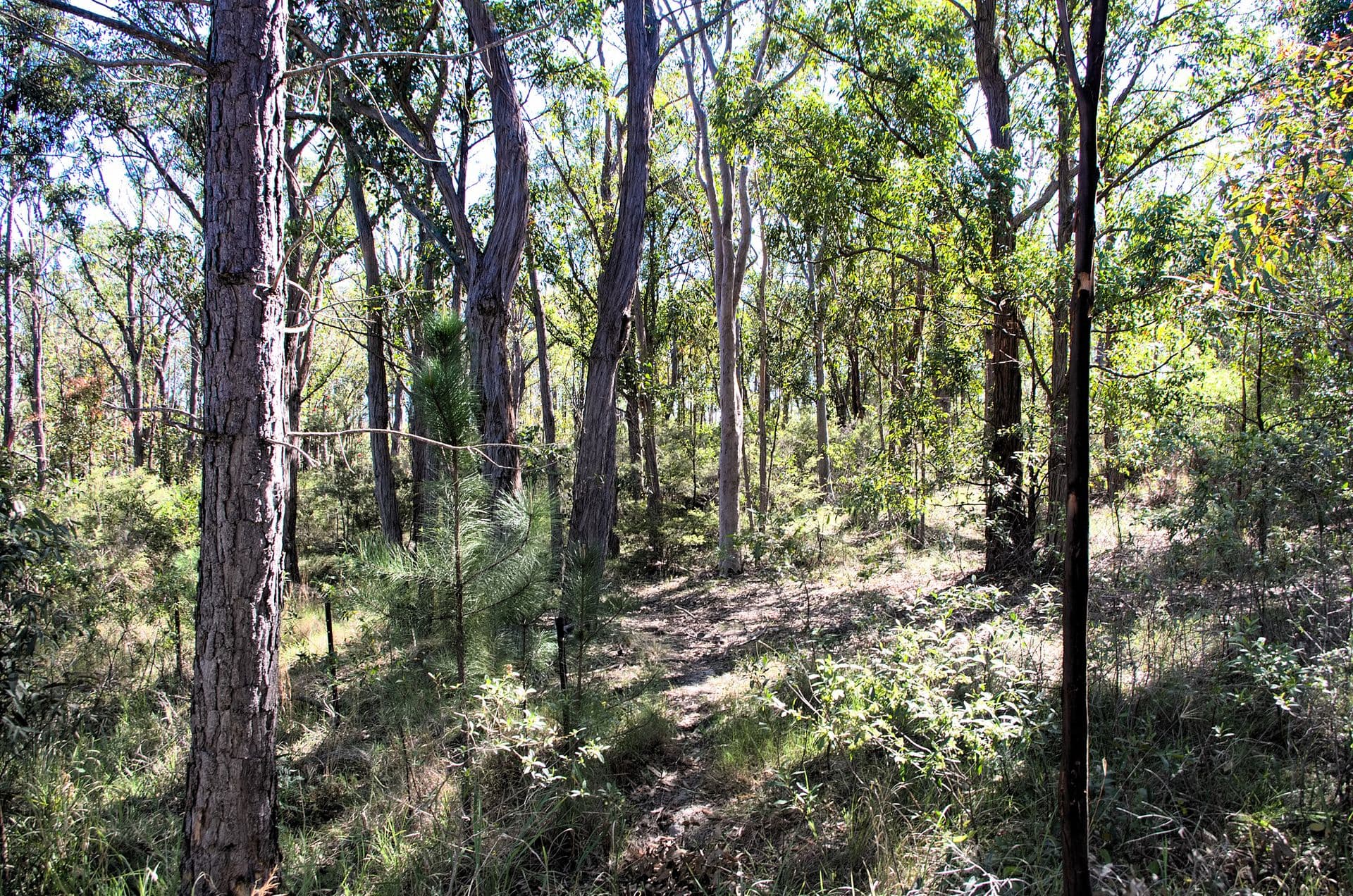 1/71 Marine Drive, Tea Gardens, NSW, 2324, Tea Gardens - Thumbnail 4