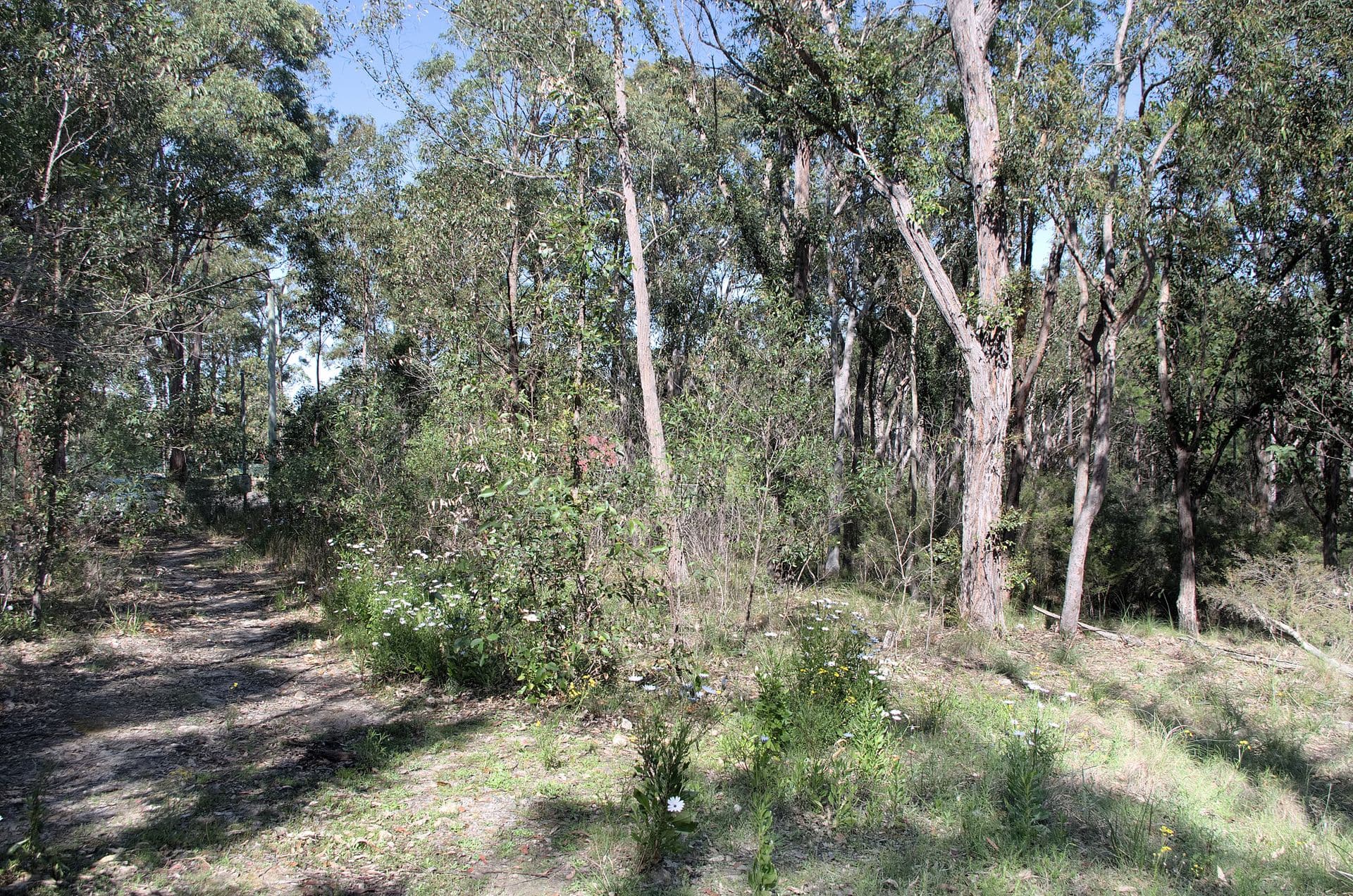 1/71 Marine Drive, Tea Gardens, NSW, 2324, Tea Gardens - Thumbnail 6