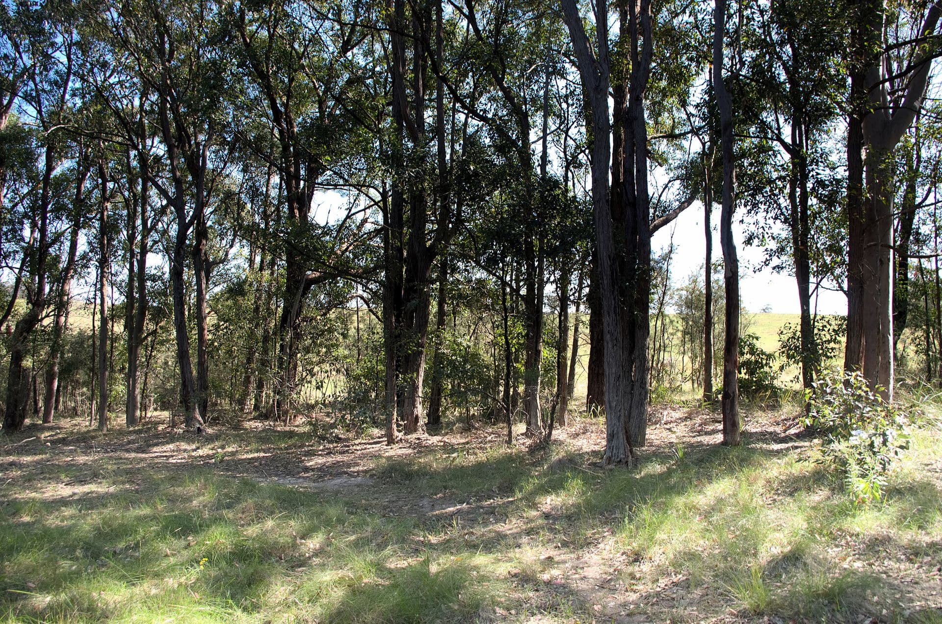 1/71 Marine Drive, Tea Gardens, NSW, 2324, Tea Gardens - Thumbnail 7