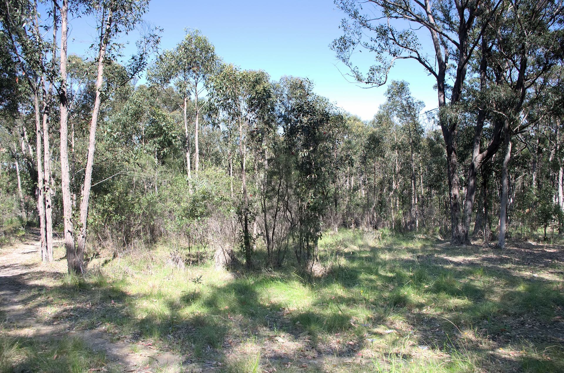 1/71 Marine Drive, Tea Gardens, NSW, 2324, Tea Gardens - Thumbnail 8