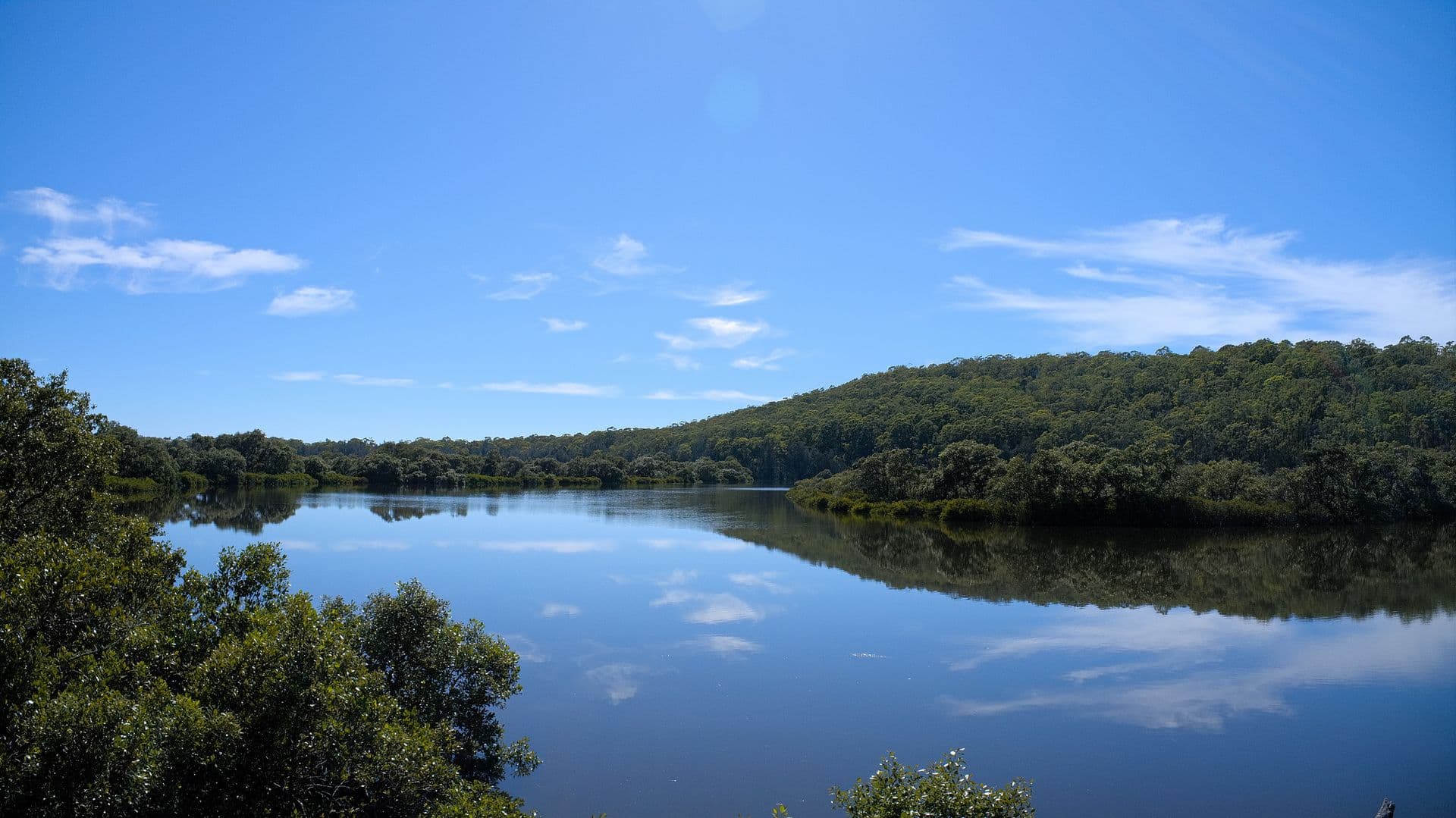 Address Withheld, North Arm Cove, NSW, 2324, North Arm Cove - Thumbnail 7