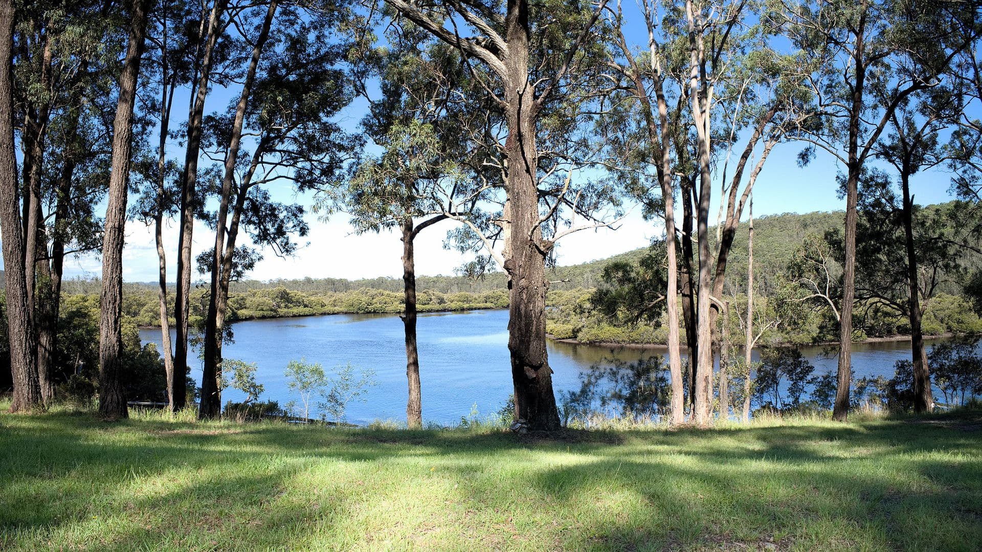 Address Withheld, North Arm Cove, NSW, 2324, North Arm Cove - Thumbnail 3
