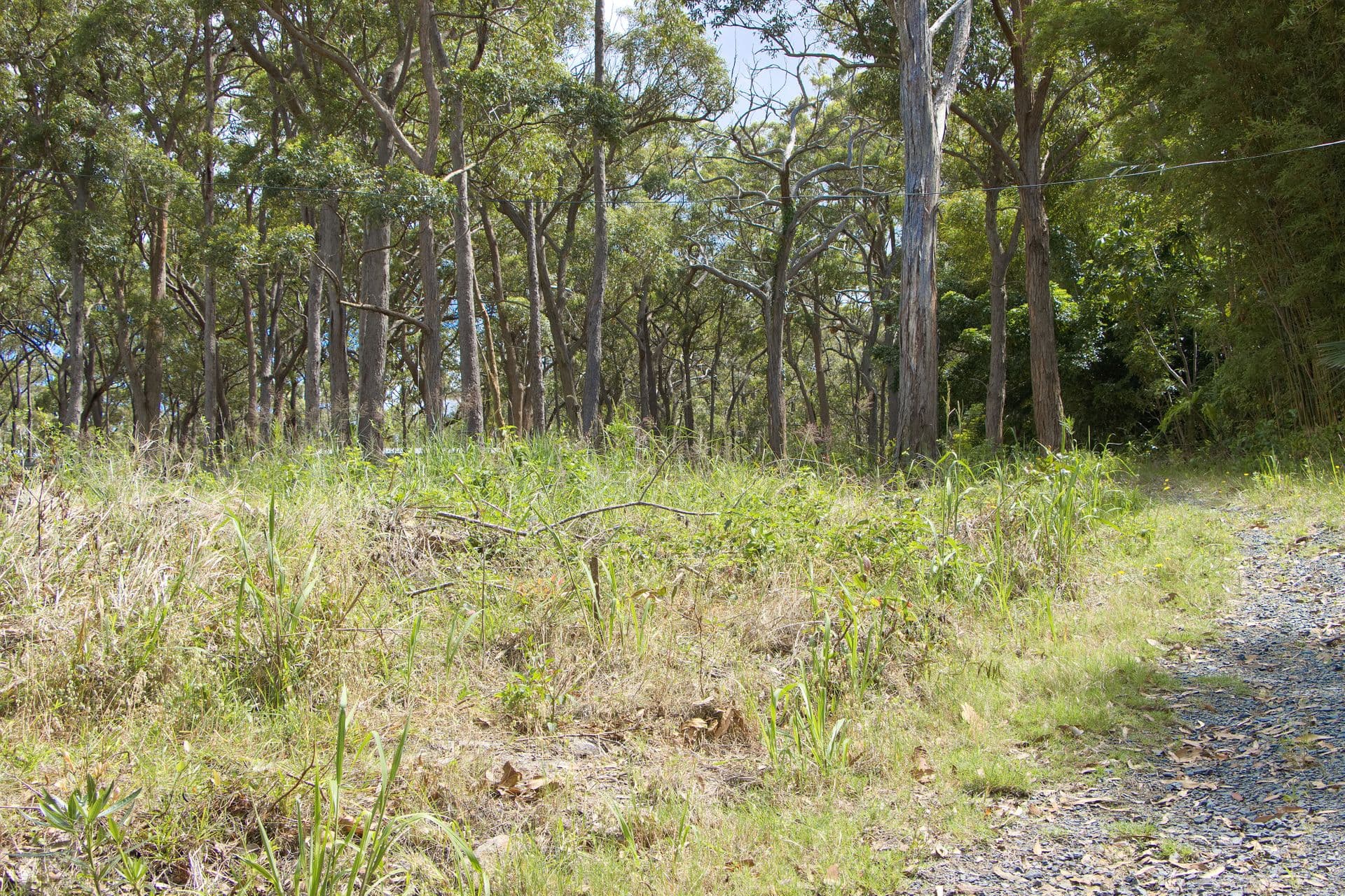 1/71 Marine Drive, Tea Gardens, NSW, 2324, North Arm Cove - Thumbnail 8