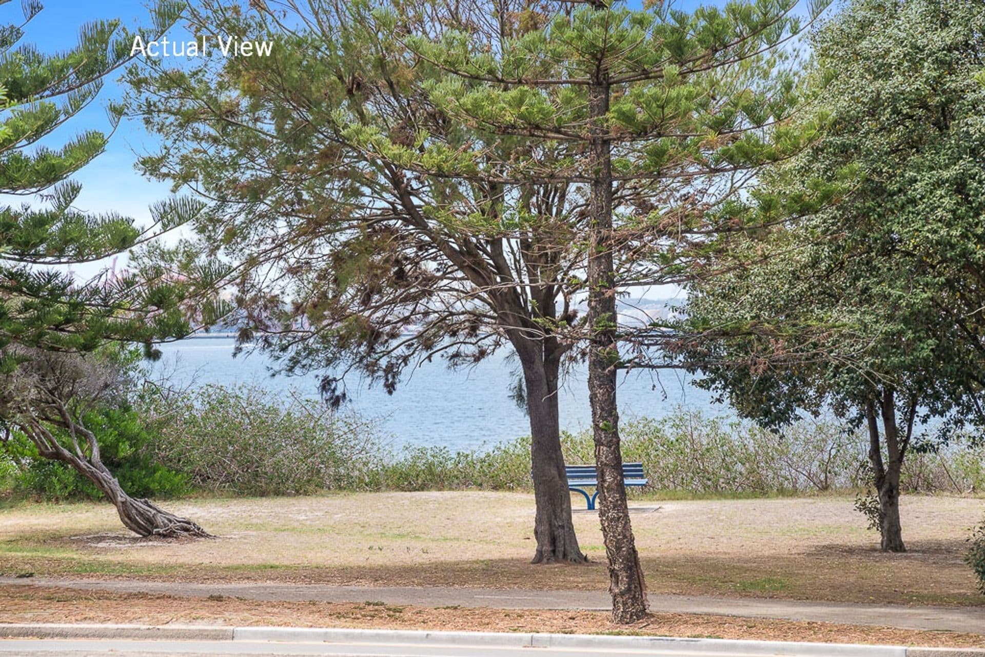 4/145 The Grand Parade, Monterey, NSW, 2217, Monterey - Thumbnail 7