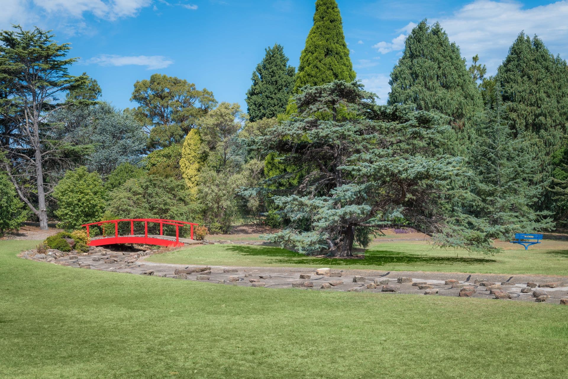 8 Bedford Place, Rockdale, NSW, 2216, Rockdale - Thumbnail 3