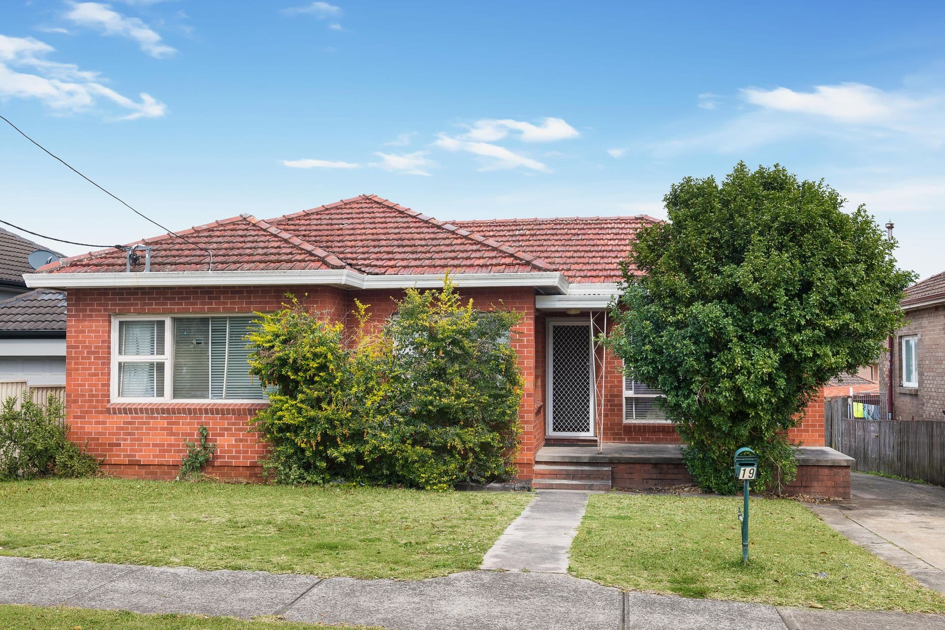 19  Henderson Road, Bexley, NSW, 2207, Bexley - Thumbnail 4
