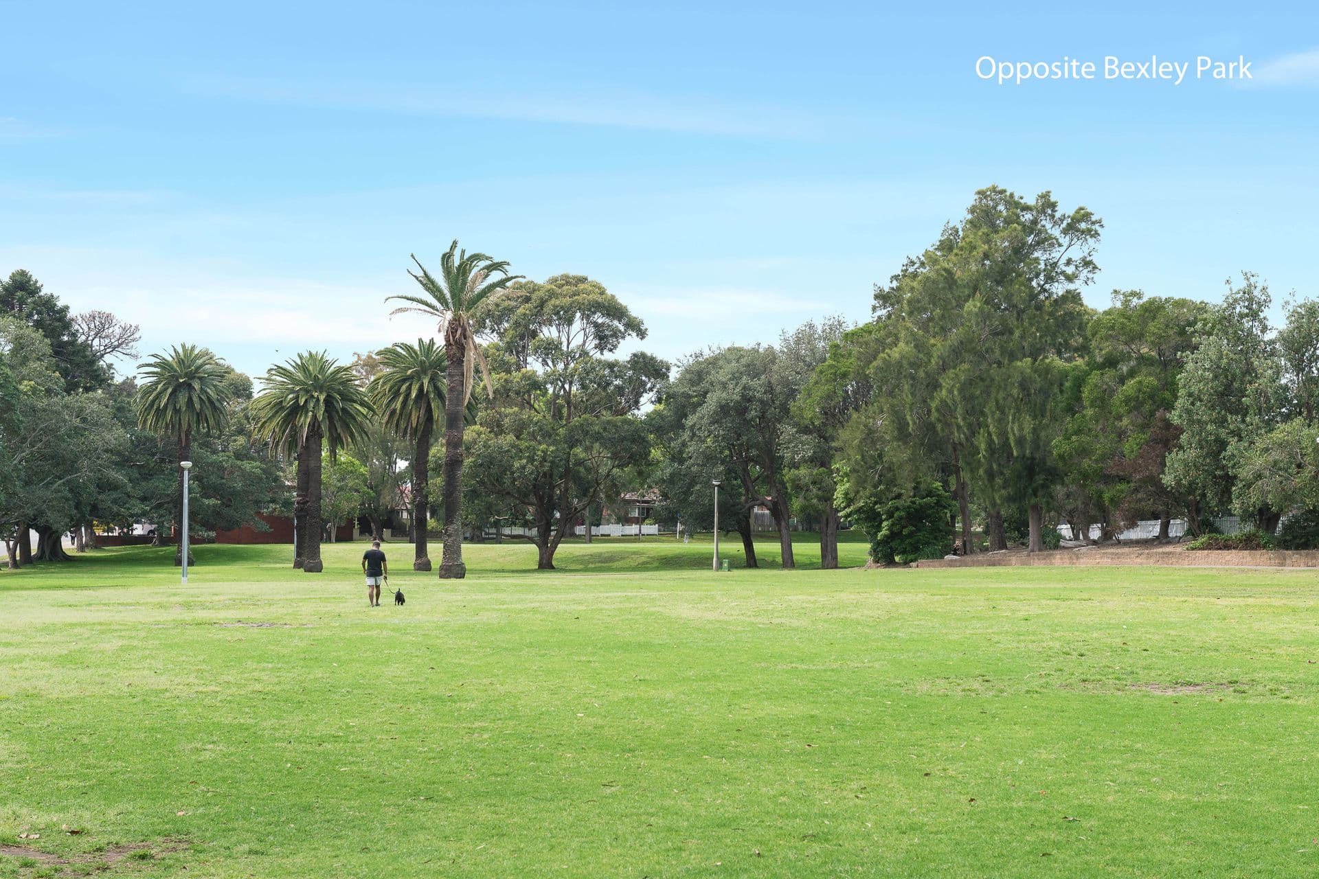 19  Henderson Road, Bexley, NSW, 2207, Bexley - Thumbnail 7