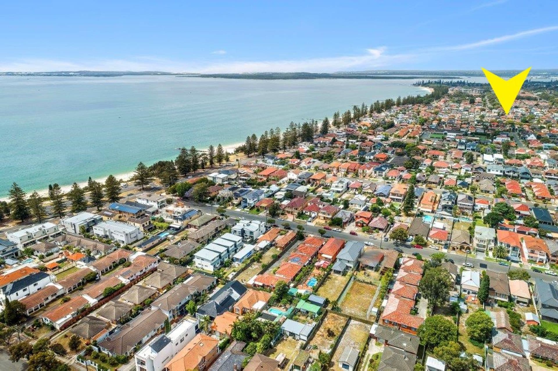 33 Scarborough Street, Monterey, NSW, 2217, Monterey - Image 1