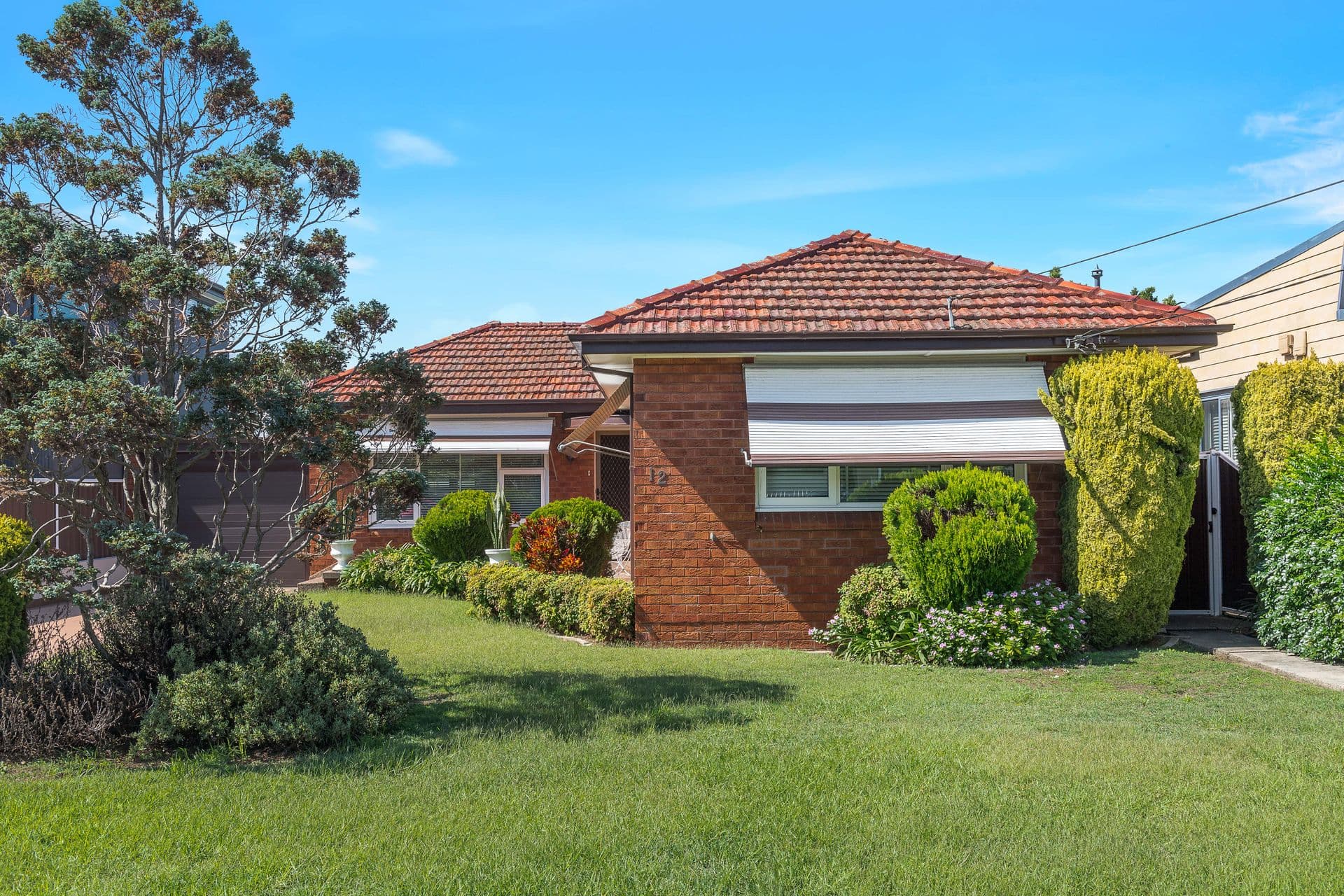12 Oakleigh Avenue, Banksia, NSW, 2216, Banksia - Image 1