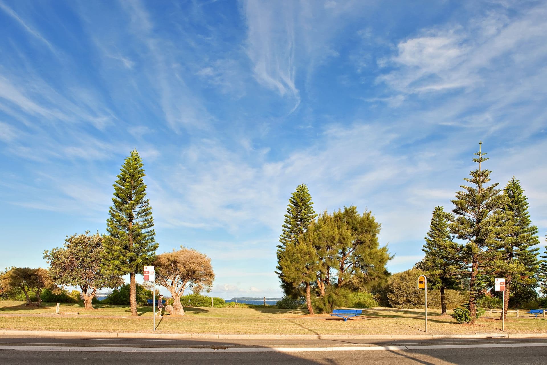 1/148 The Grand Parade, Monterey, NSW, 2217, Monterey - Thumbnail 4