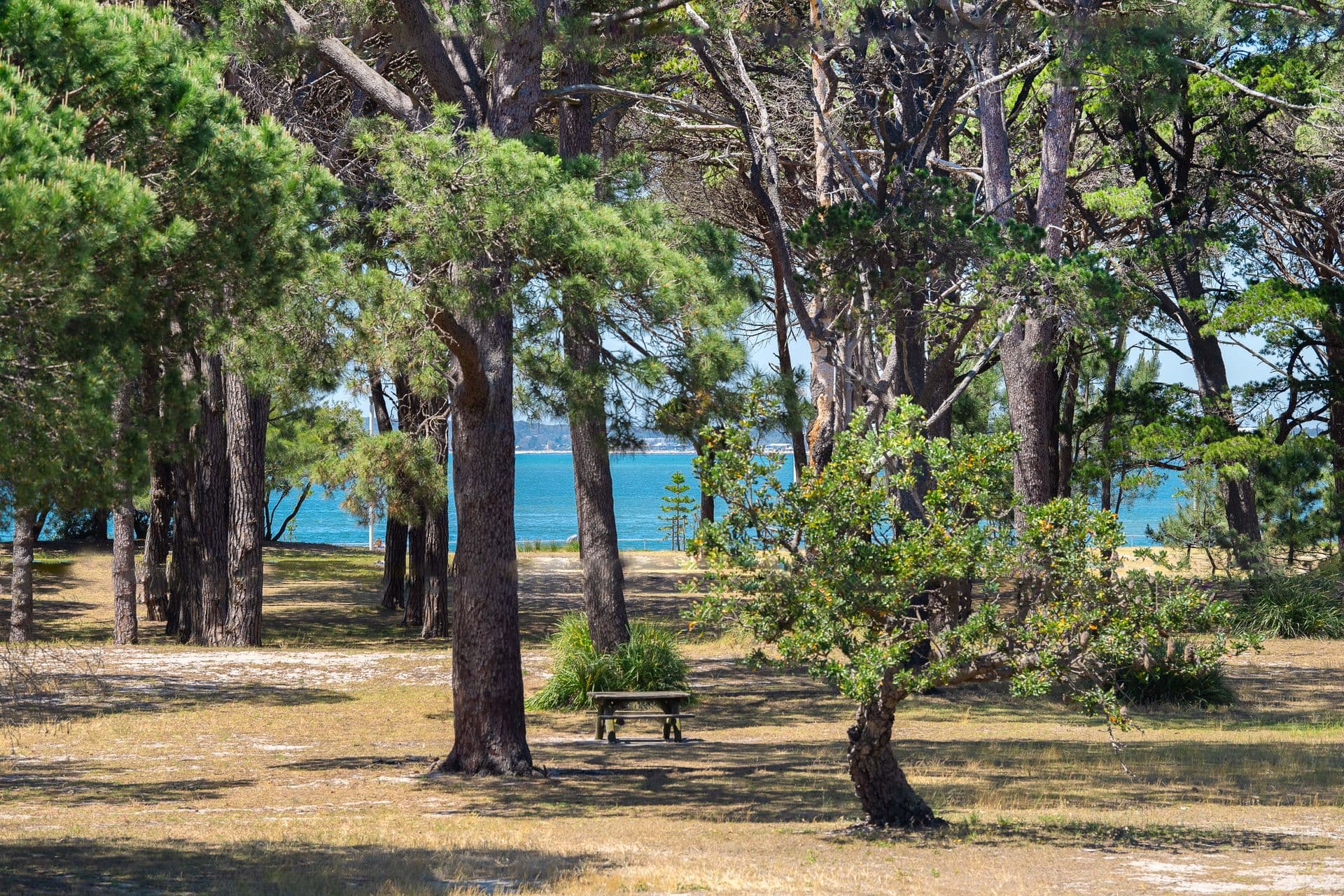 3/318 The Grand Parade, Sans Souci, NSW, 2219, Sans Souci - Thumbnail 3
