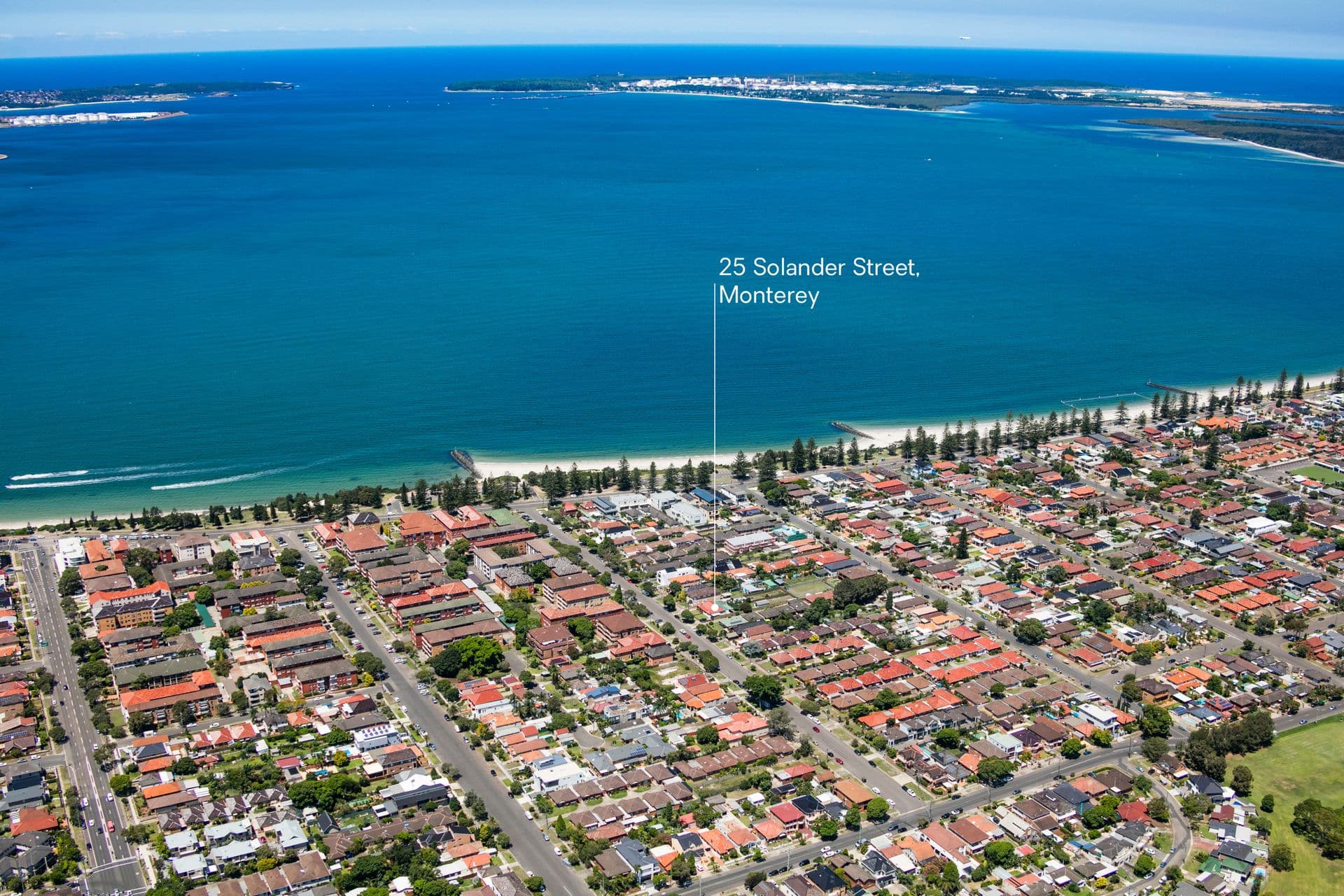 25 Solander Street, Monterey, NSW, 2217, Monterey - Thumbnail 3