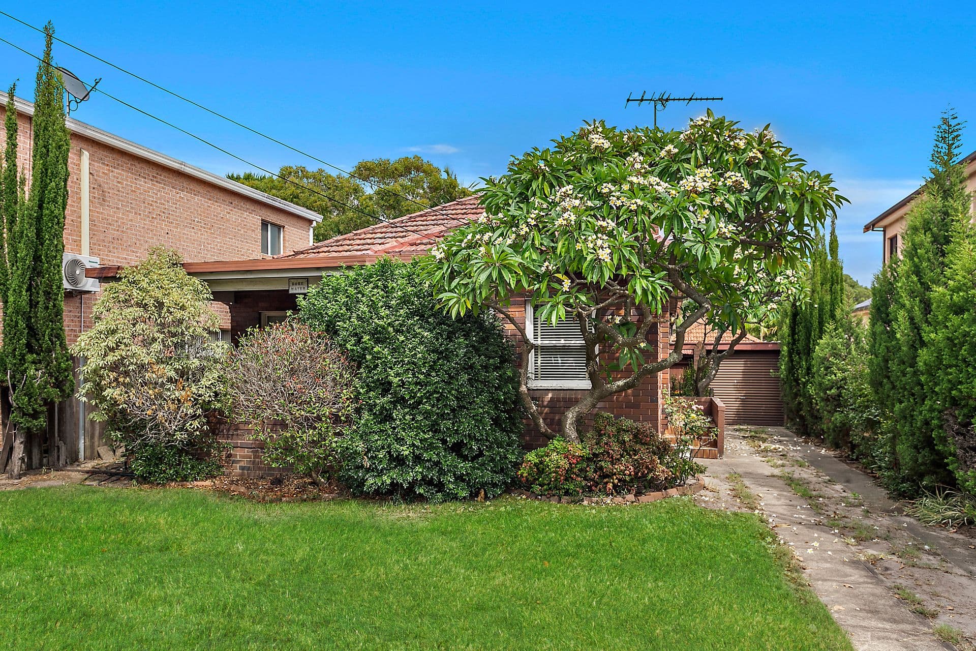 316 The Grand Parade, Sans Souci, NSW, 2219, Sans Souci - Image 1