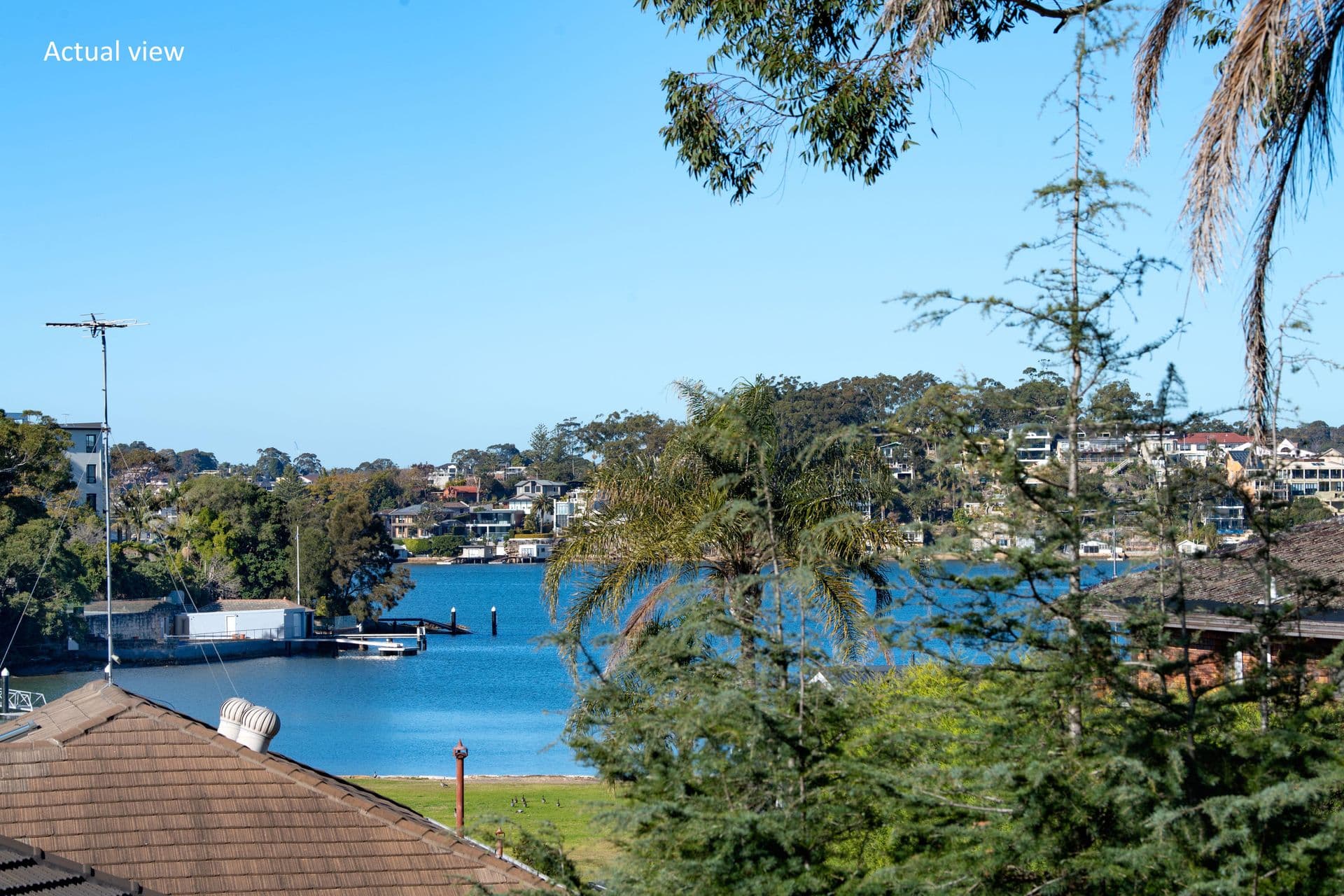 152 Terry Street, Connells Point, NSW, 2221, Connells Point - Thumbnail 3