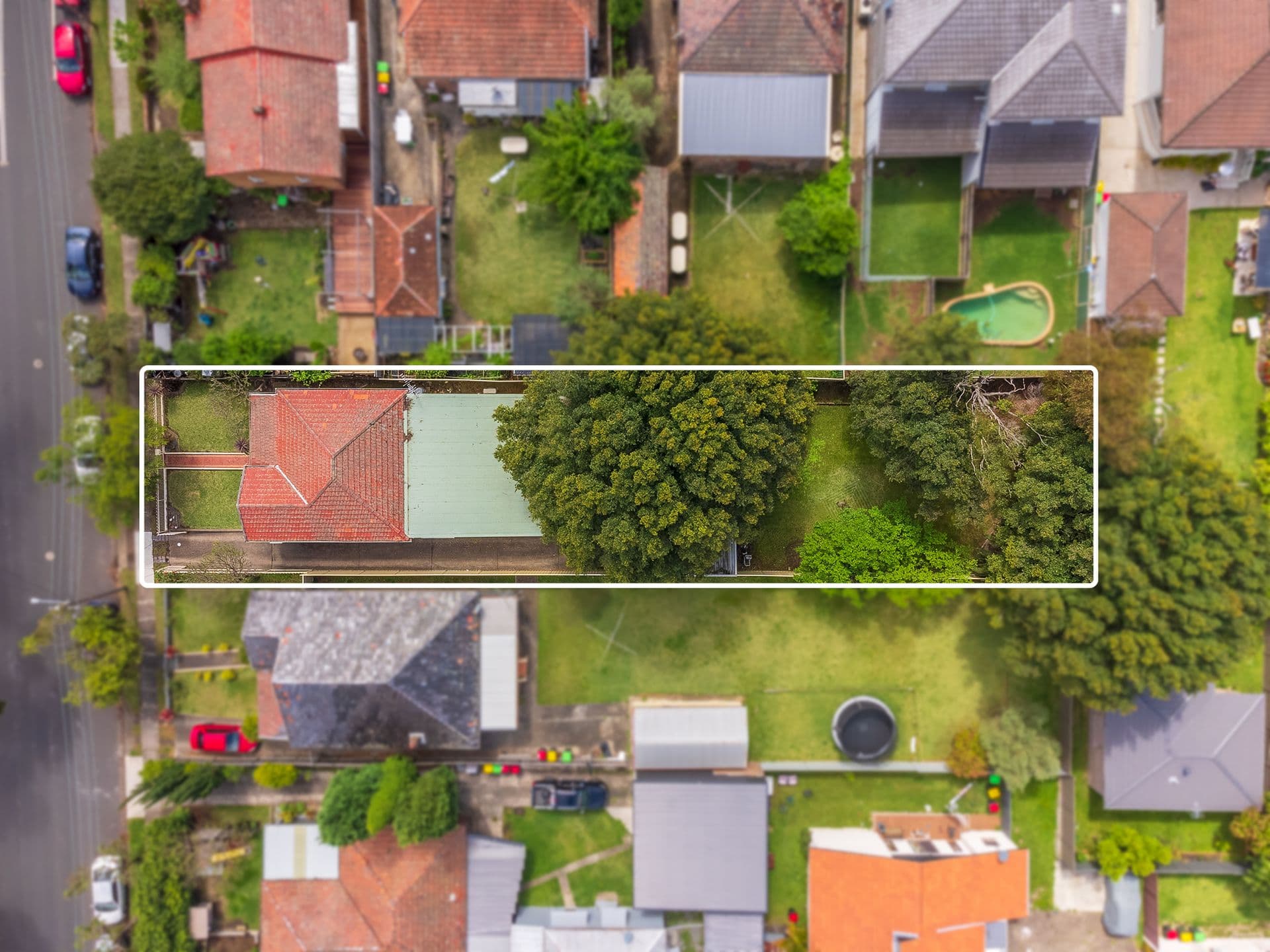 36 Reginald Avenue, Belmore, NSW, 2192, Belmore - Thumbnail 2