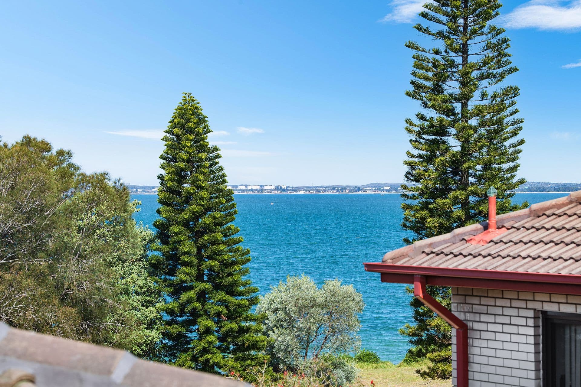 11/143 The Grand Parade, Monterey, NSW, 2217, Monterey - Thumbnail 3