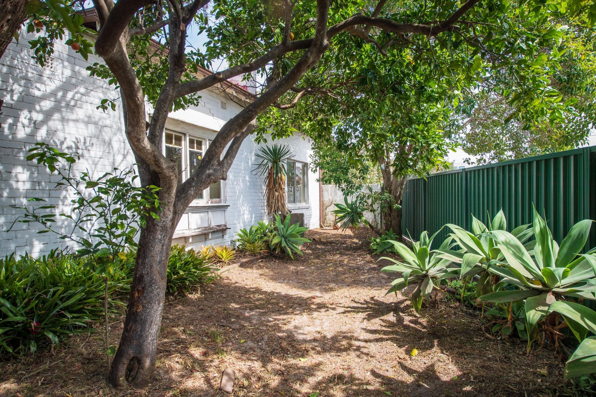 17 Sellwood Street, Brighton-le-sands, NSW, 2216, Brighton-Le-Sands - Thumbnail 6