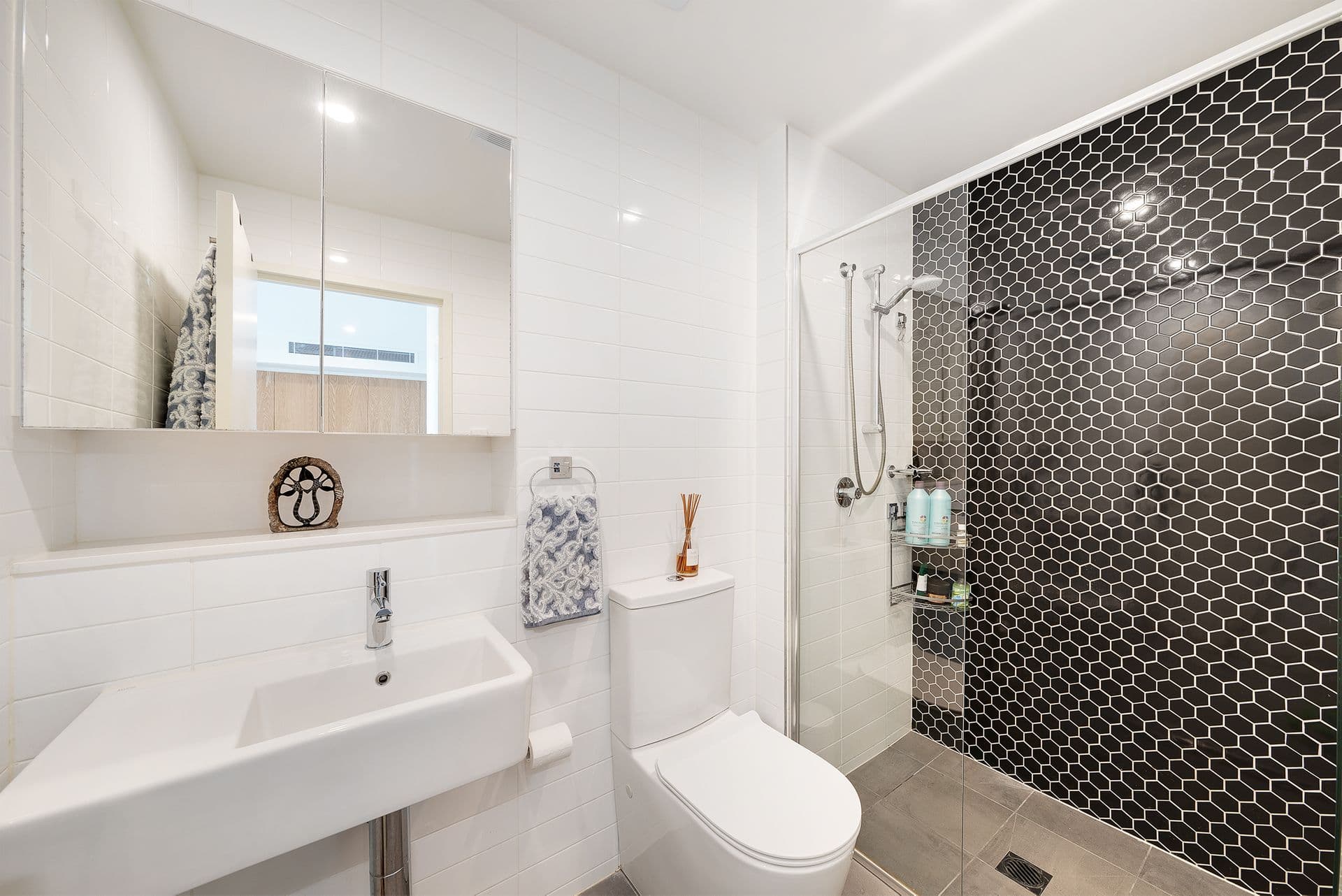 301/165 Frederick Street, Bexley, NSW, 2207, Bexley - Thumbnail 4