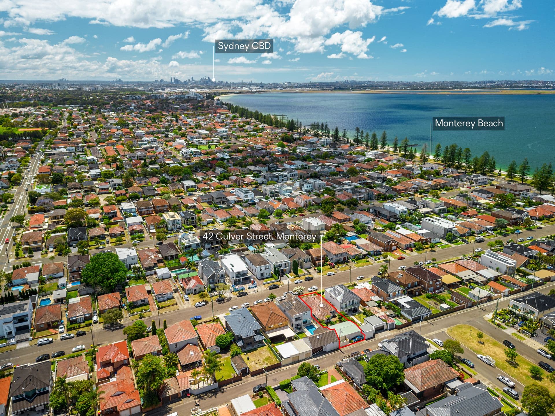 42 Culver Street, Monterey, NSW, 2217, Monterey - Thumbnail 7