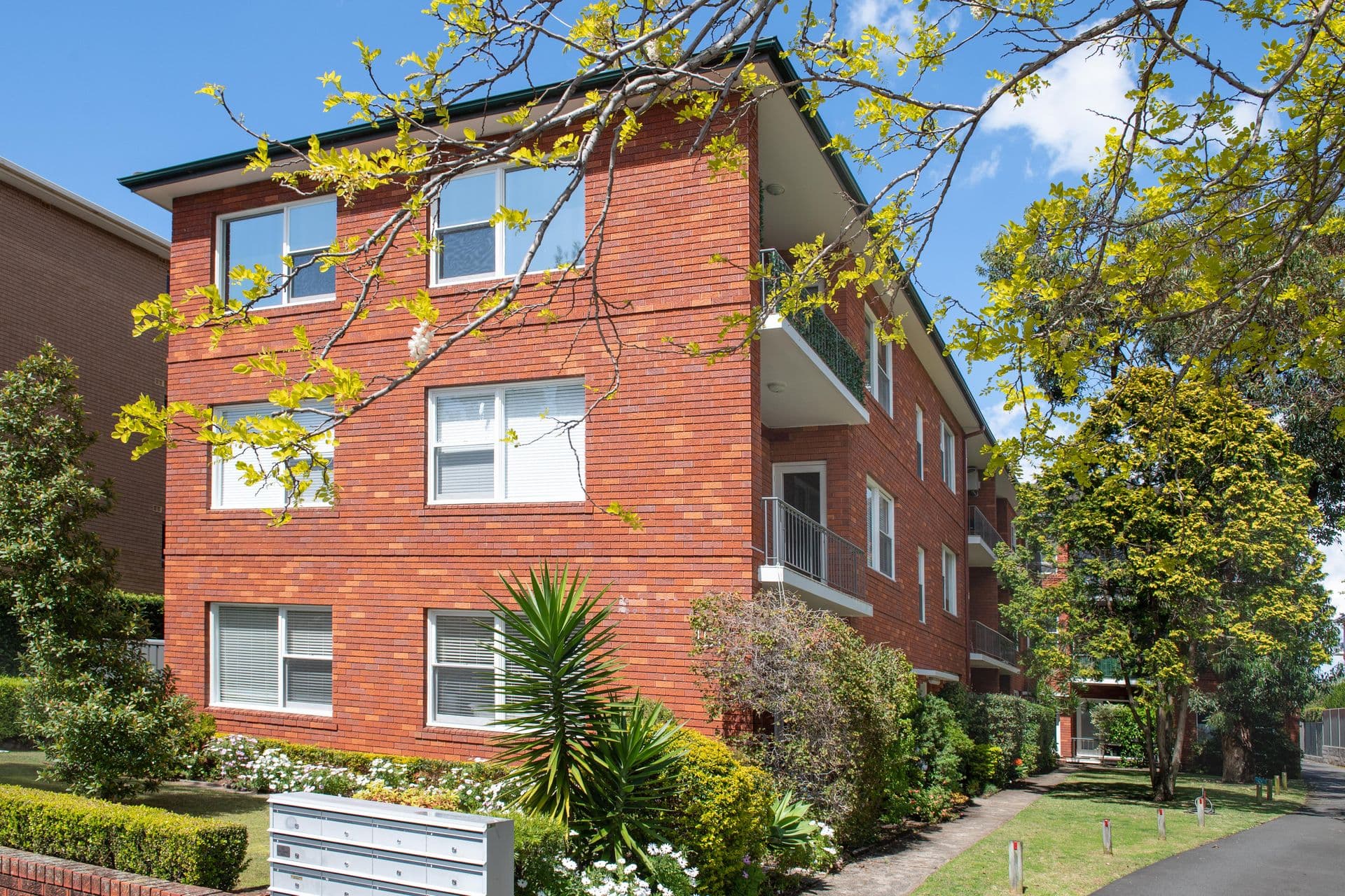 3/149 Russell Avenue, Dolls Point, NSW, 2219, Dolls Point - Thumbnail 2