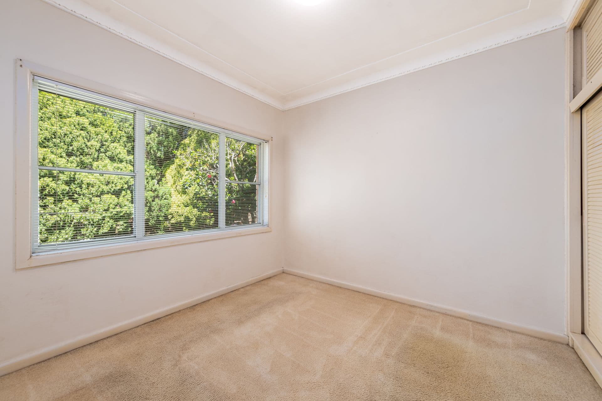 223 President Avenue, Miranda, NSW, 2228, Miranda - Thumbnail 6