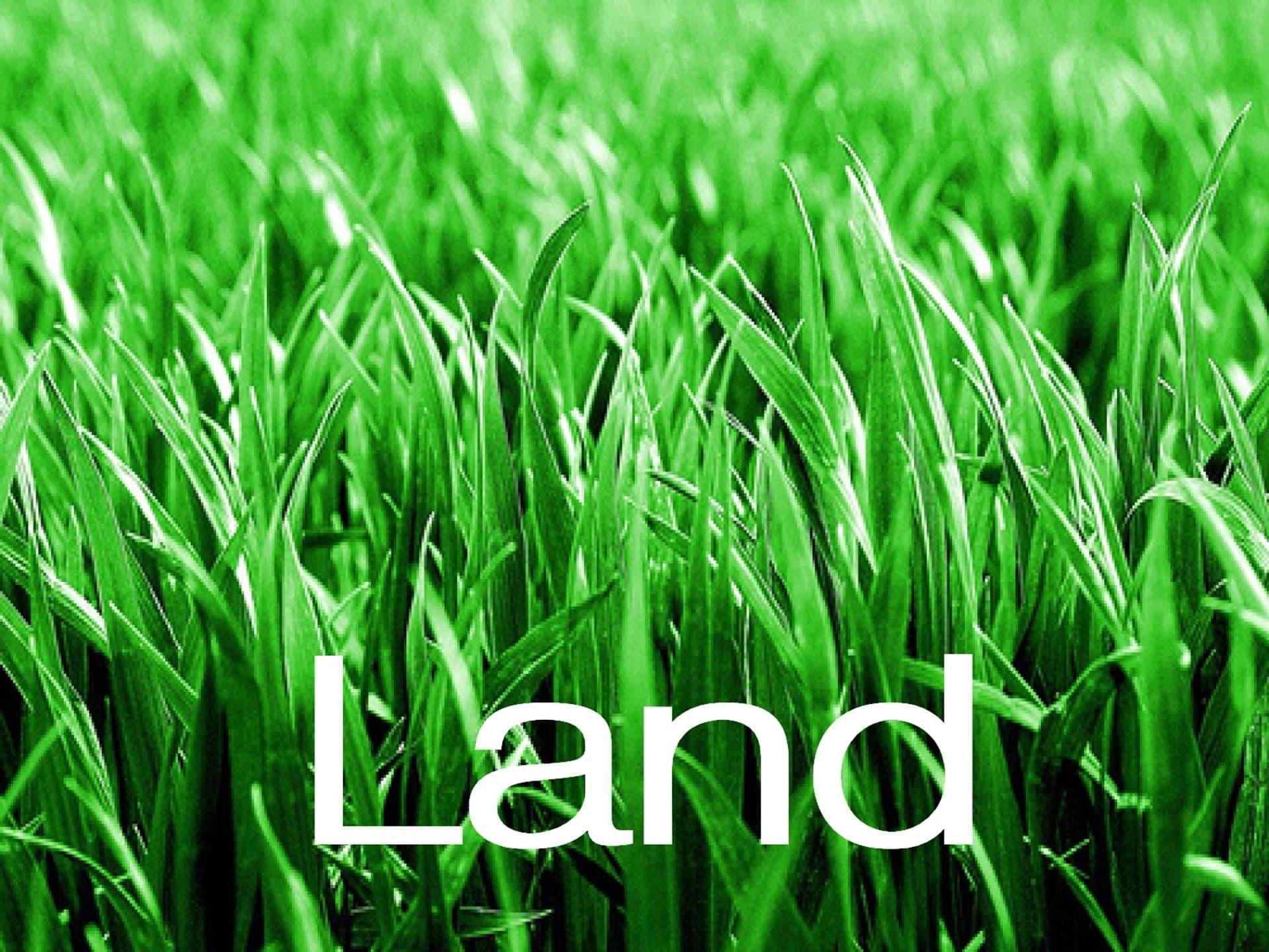 17 Hill Street, North Lambton, NSW, 2299, North Lambton - Thumbnail 3