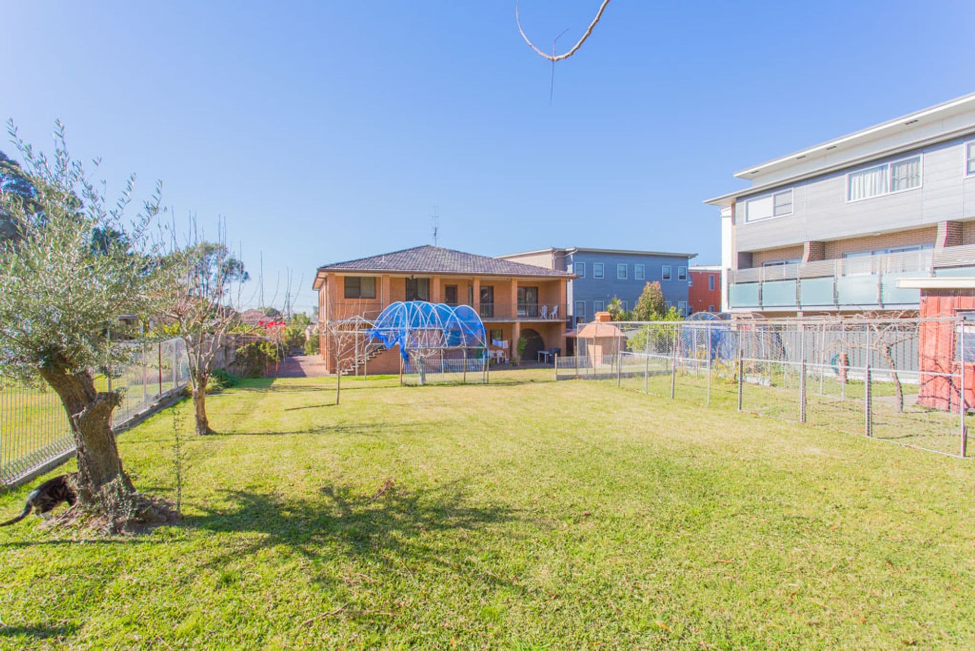 43 Dickinson Street, Charlestown, NSW, 2290, Charlestown - Thumbnail 2