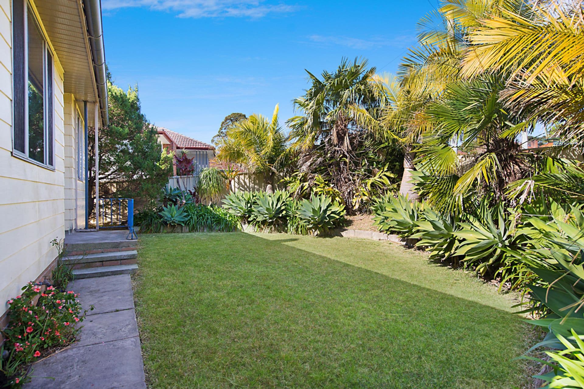 3 Blackbutt Parade, Kotara South, NSW, 2289, Kotara South - Thumbnail 5