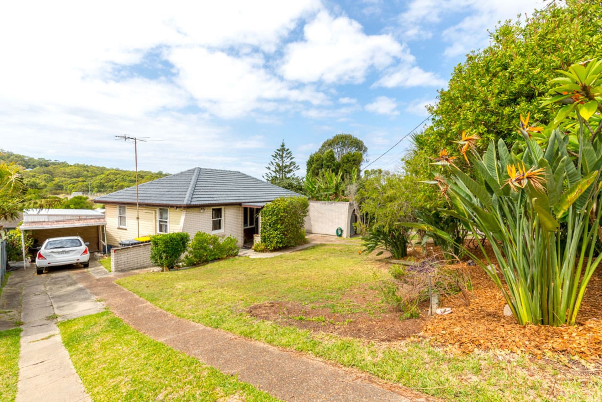 22 Alder Crescent, Gateshead, NSW, 2290, Wagga Wagga - Image 1