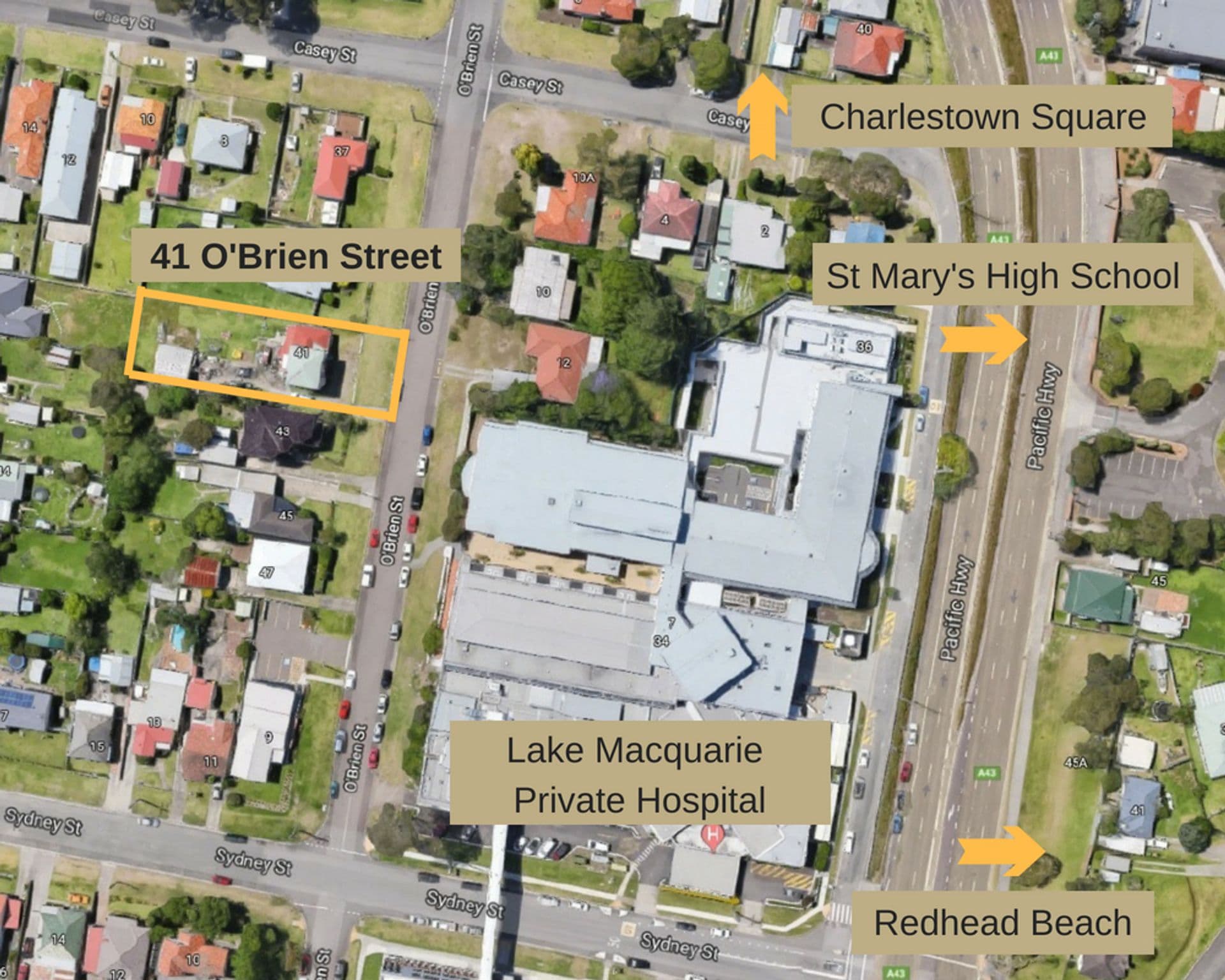 41 O'Brien Street, Gateshead, NSW, 2290, Gateshead - Image 1