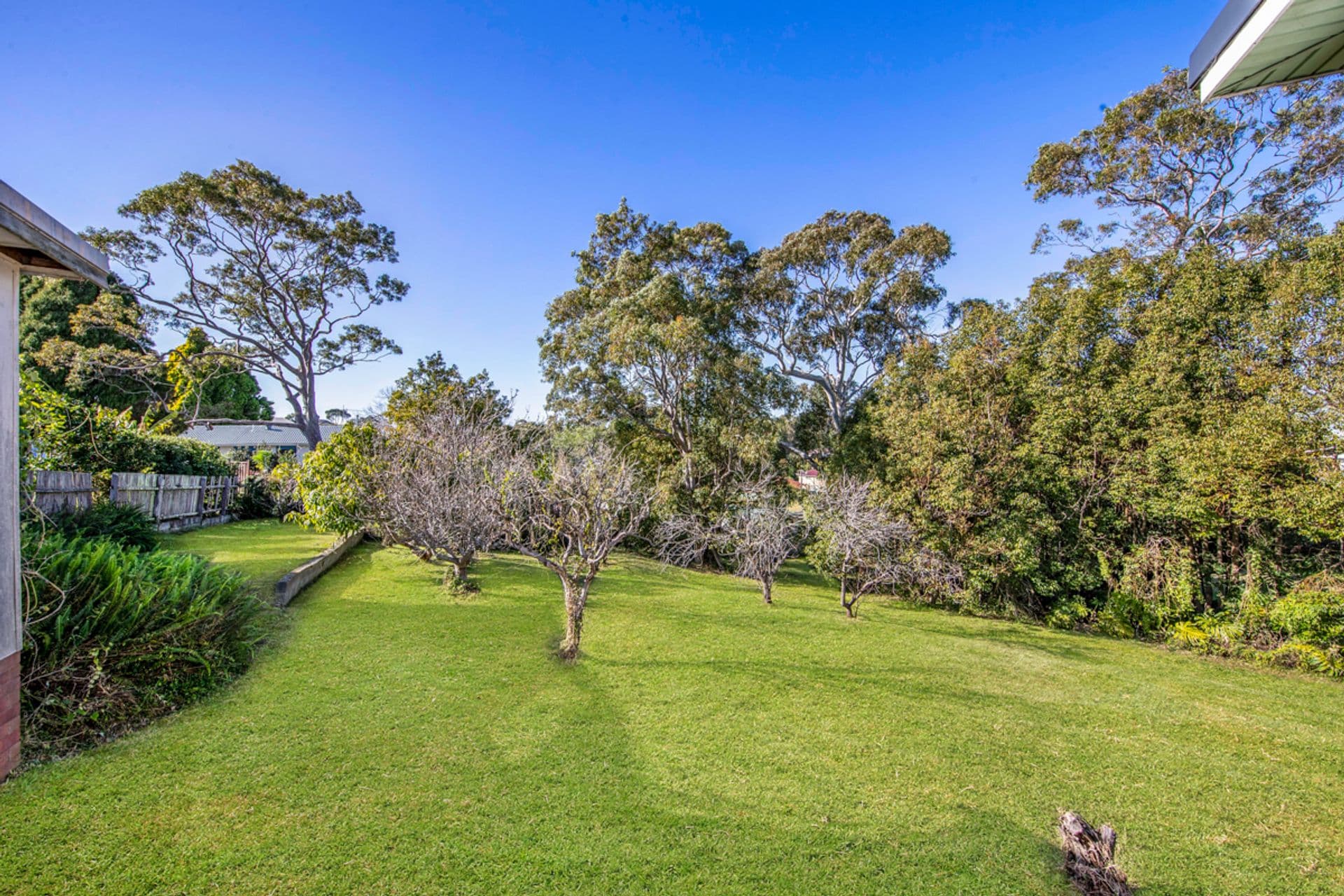 8 Algona Road, Charlestown, NSW, 2290, Charlestown - Thumbnail 2