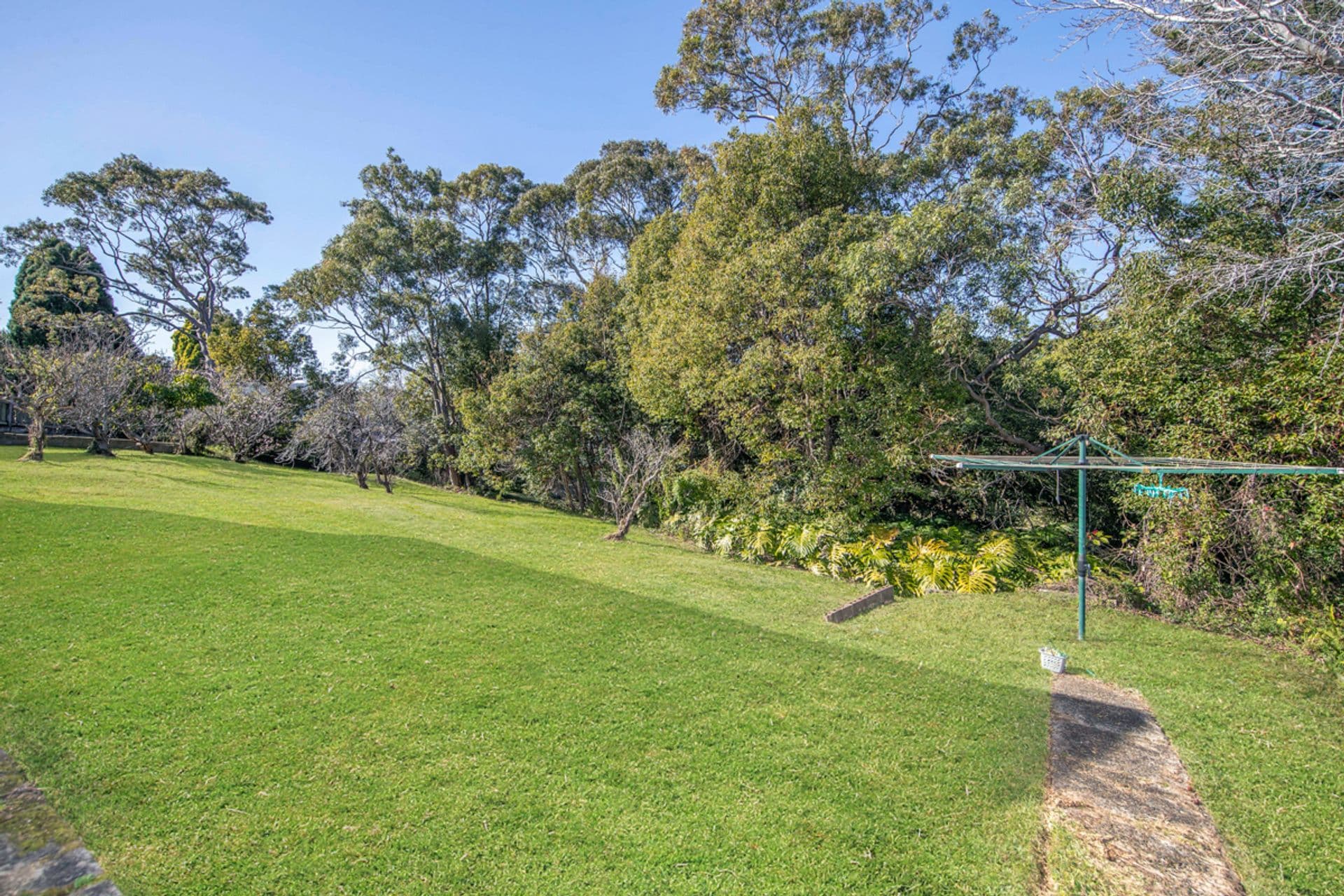 8 Algona Road, Charlestown, NSW, 2290, Charlestown - Thumbnail 3