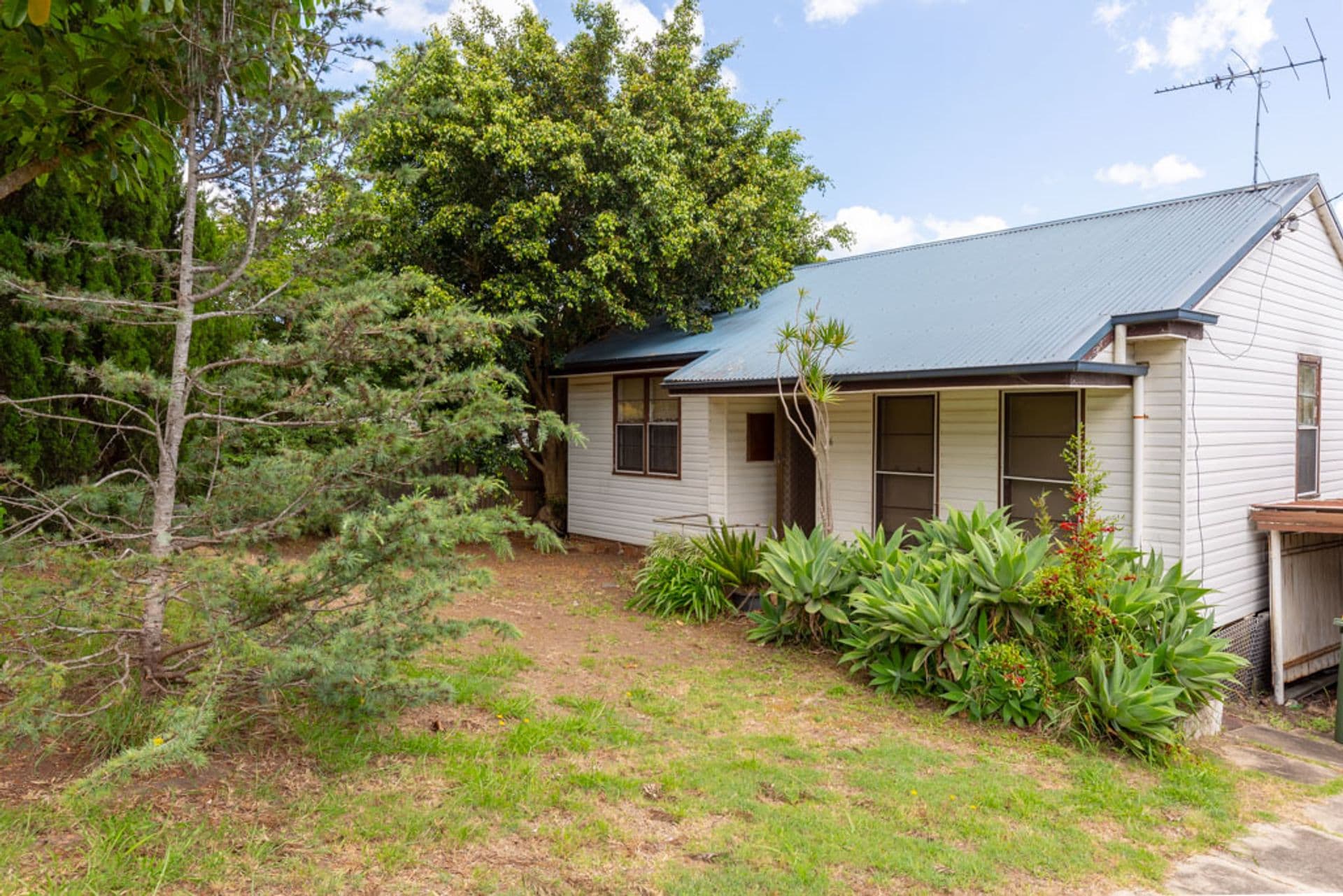 6 Rabaul Street, Shortland, NSW, 2307, Shortland - Image 1