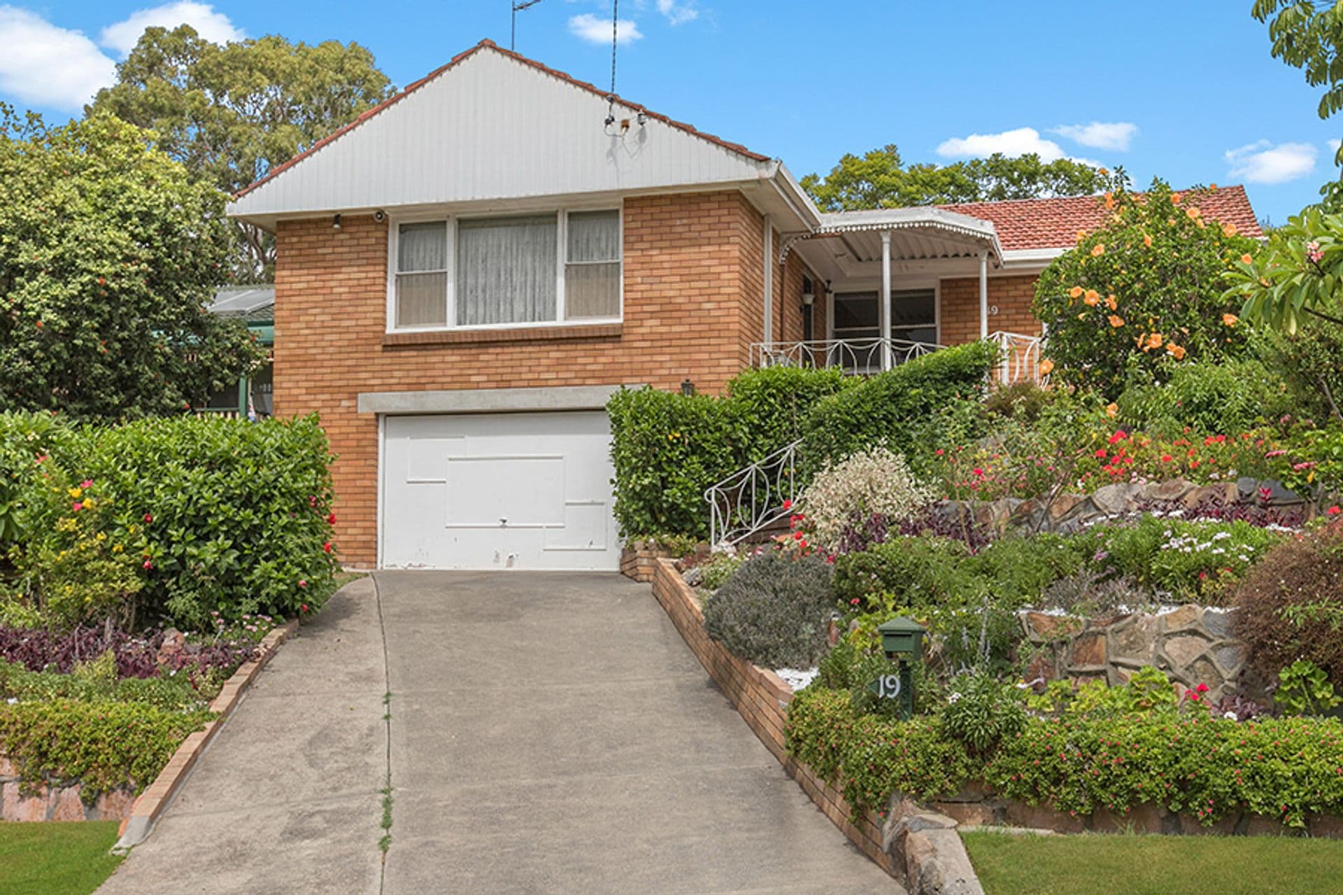 19 Coronation Avenue, Cardiff, NSW, 2285, Cardiff - Image 1