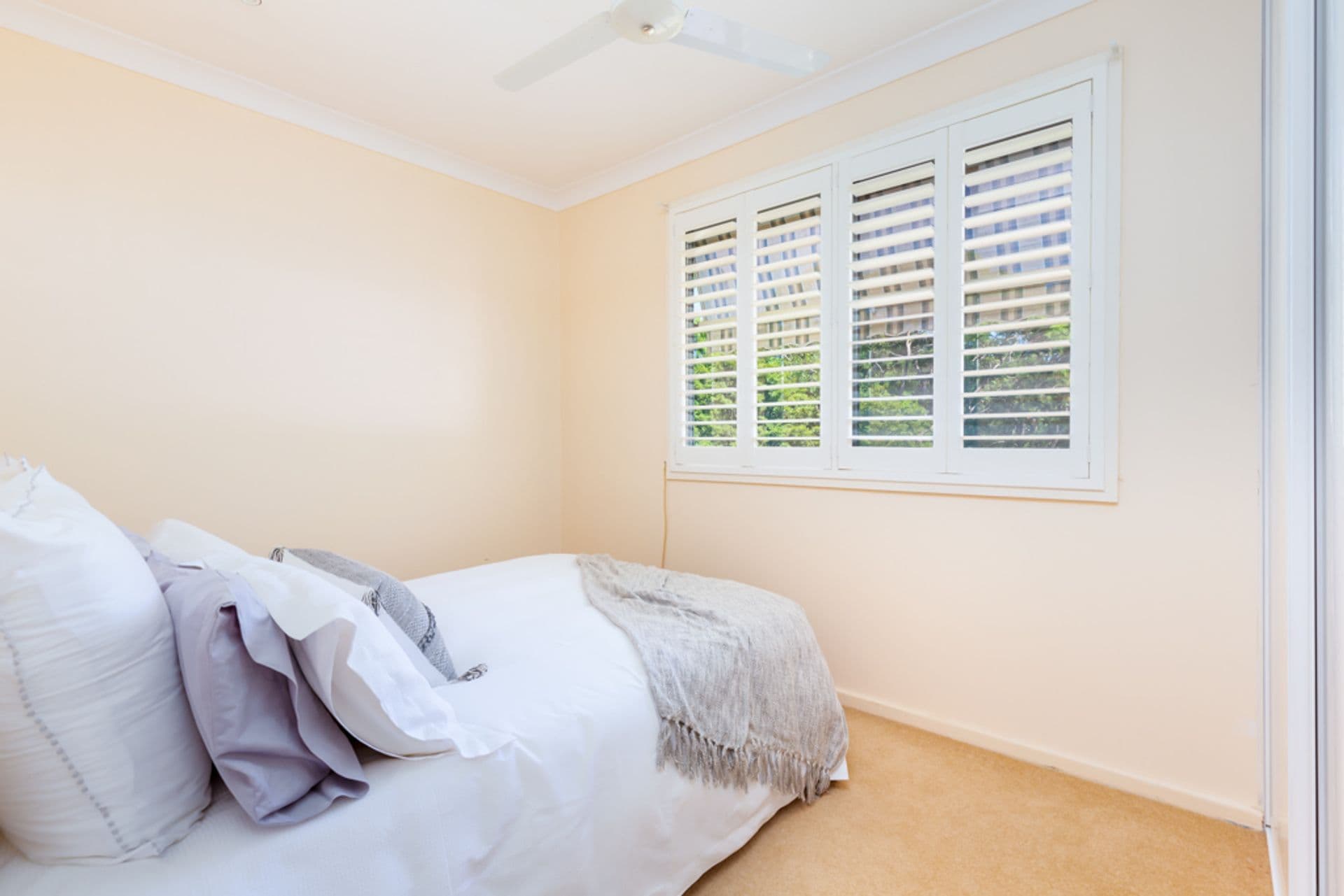 80 Princeton Avenue, Adamstown Heights, NSW, 2289, Adamstown Heights - Thumbnail 7