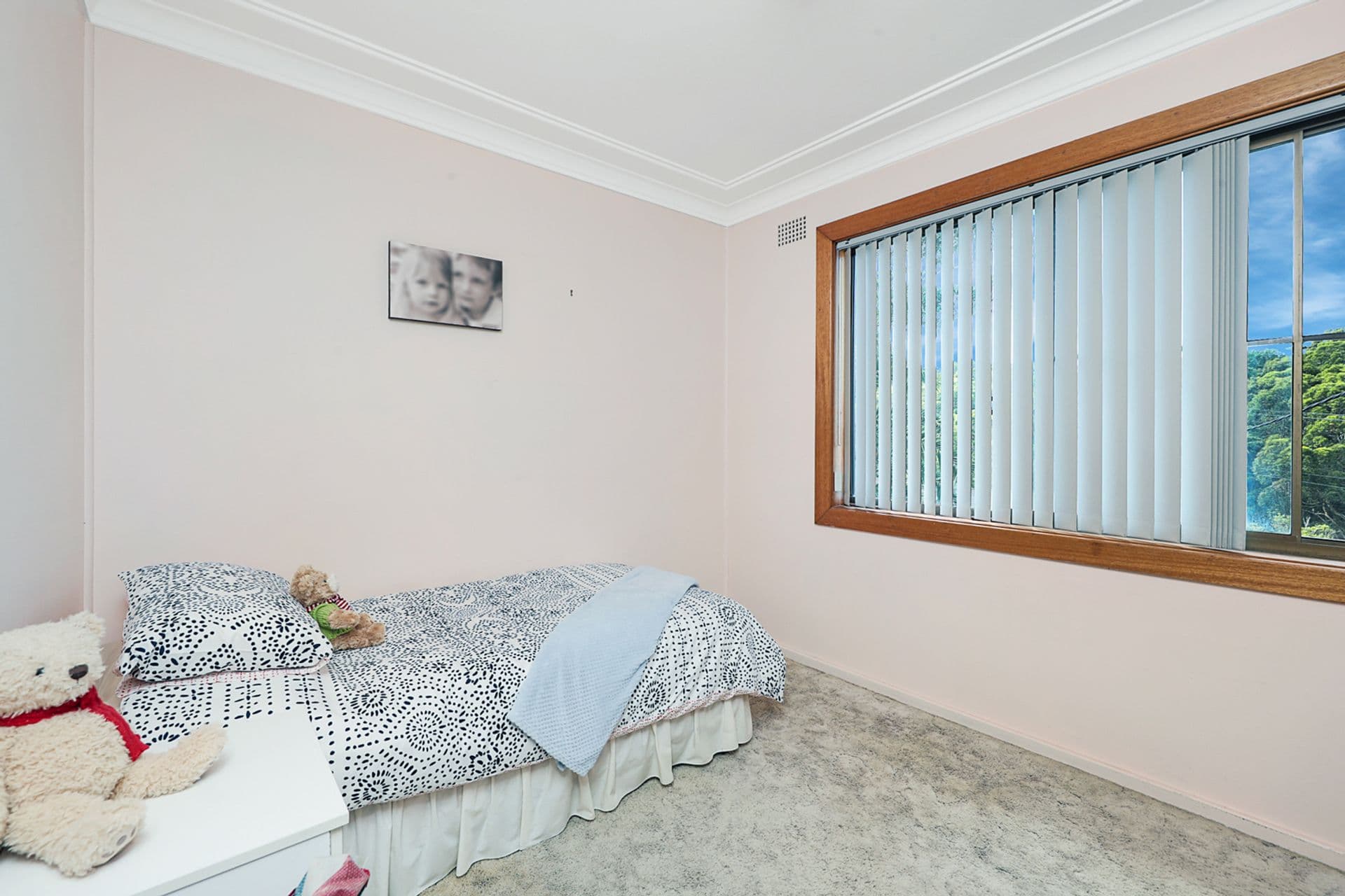 29 Princes Avenue, Charlestown, NSW, 2290, Charlestown - Thumbnail 5