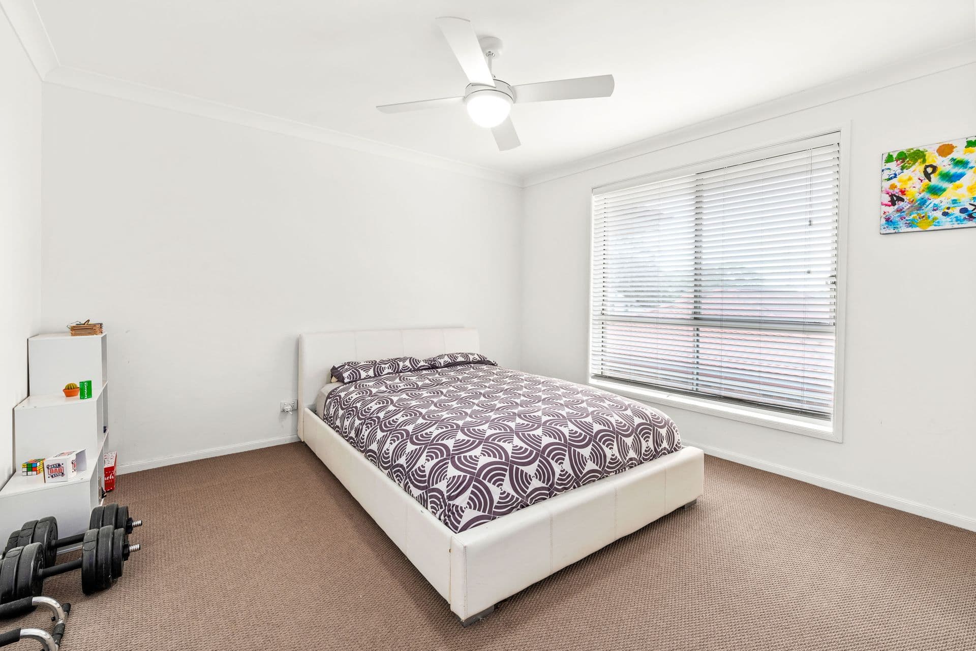 29 Schaefer Close, Tingira Heights, NSW, 2290, Tingira Heights - Thumbnail 5