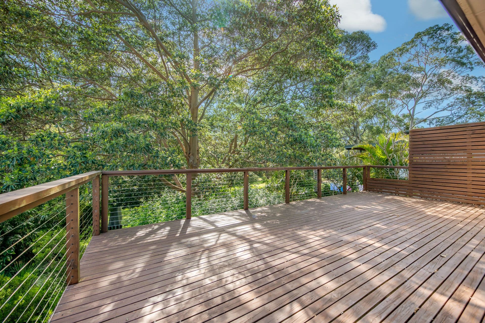 82 Roslyn Avenue, Charlestown, NSW, 2290, Charlestown - Thumbnail 6